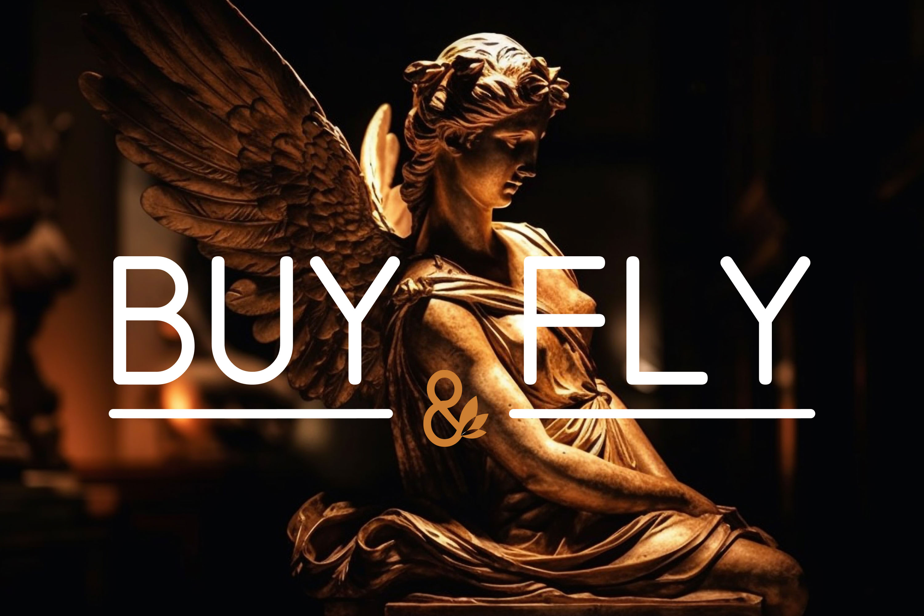 Фирменный стиль Buy&Fly — Изображение №1 — Брендинг, Графика на Dprofile