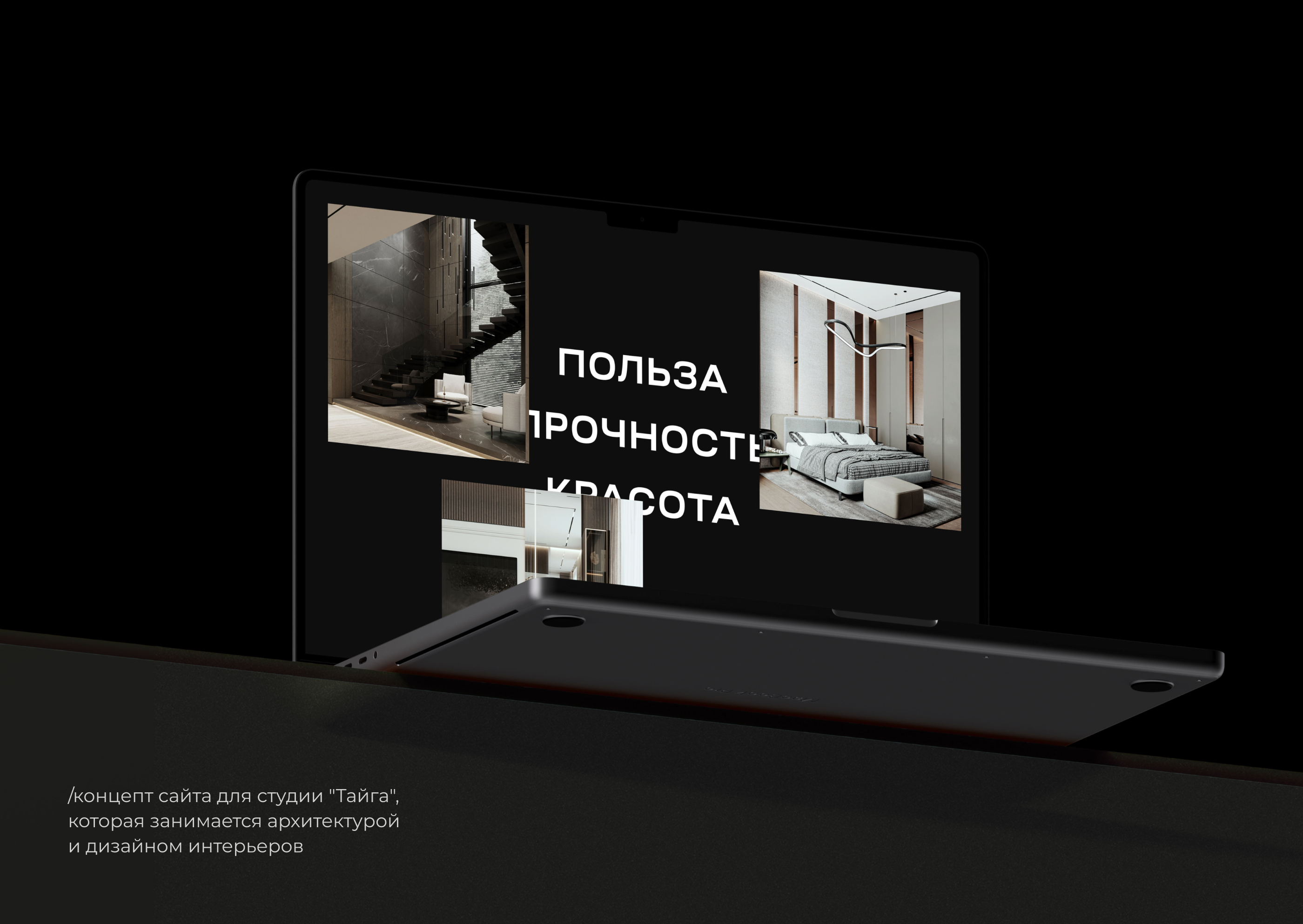 Студия архитектуры и дизайна "Тайга" (концепт) — Изображение №1 — Интерфейсы на Dprofile