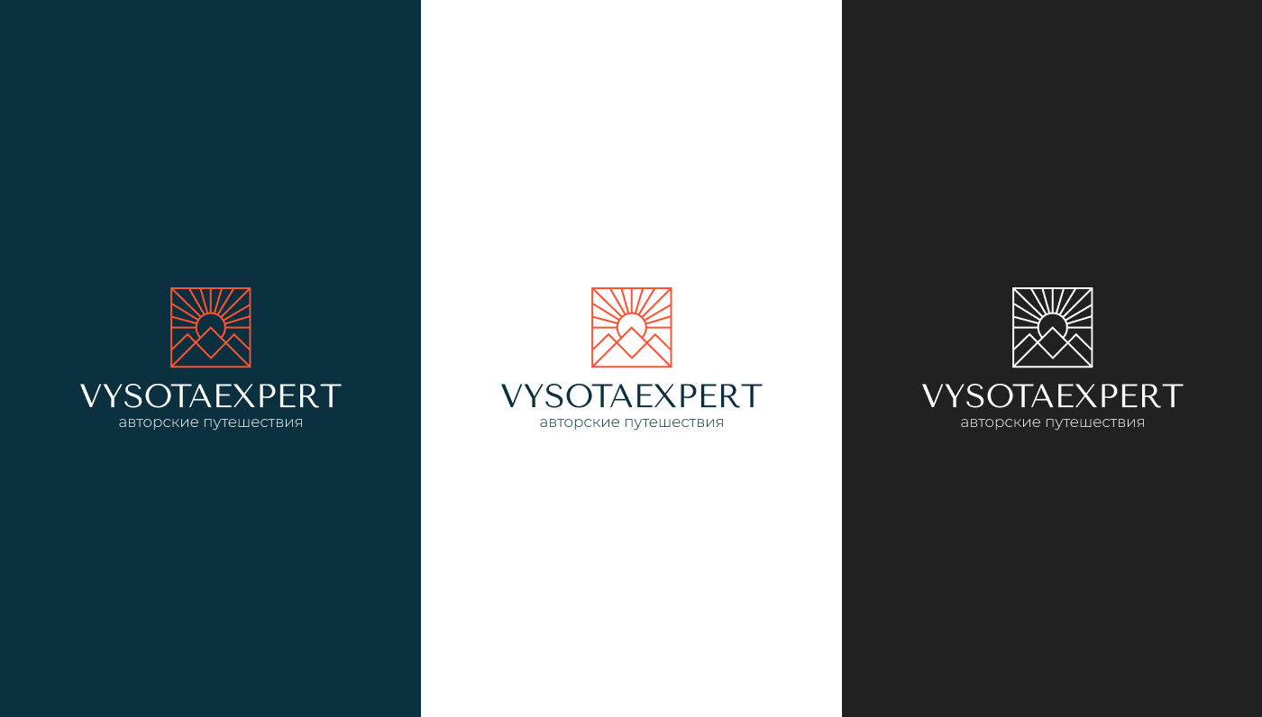 Логотип компании VYSOTAEXPERT — Изображение №6 — Брендинг на Dprofile