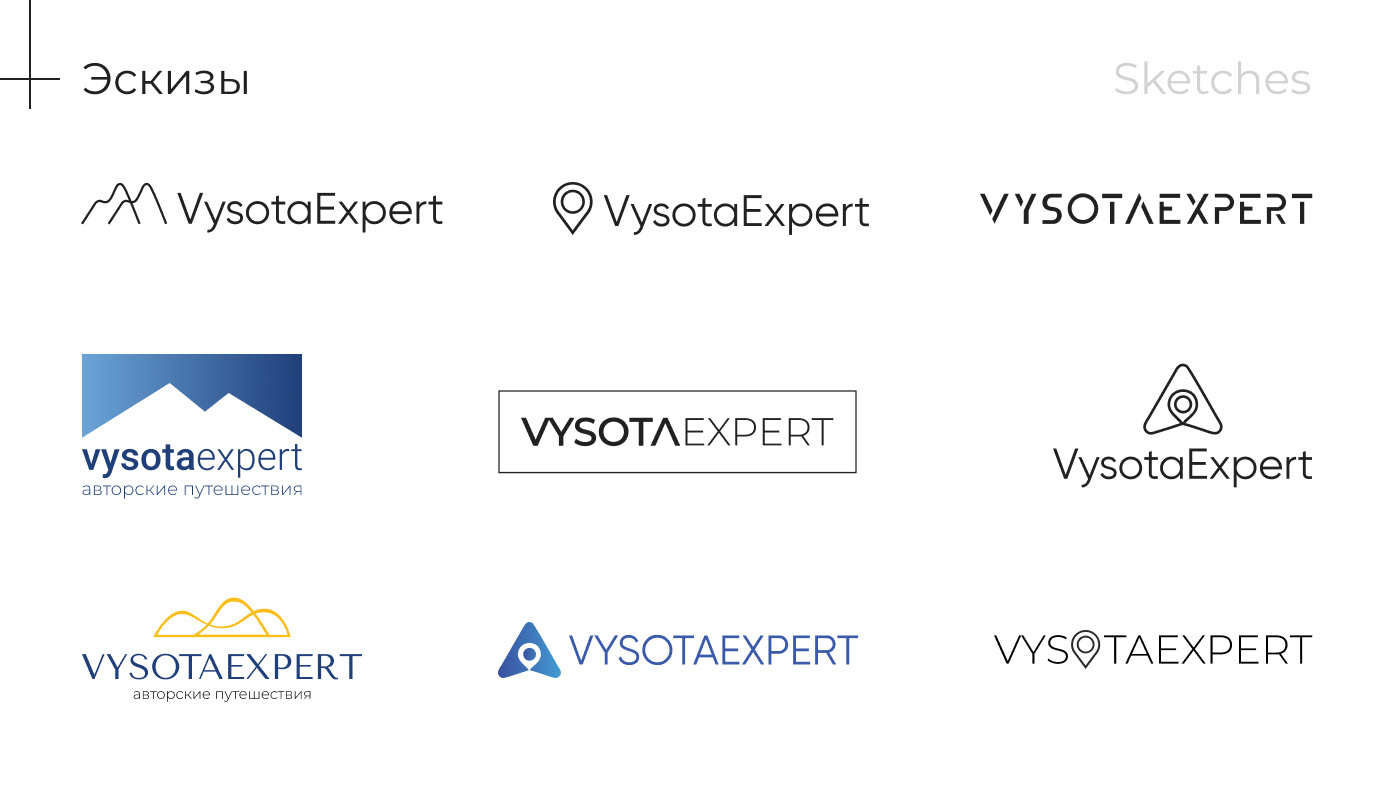 Логотип компании VYSOTAEXPERT — Изображение №4 — Брендинг на Dprofile