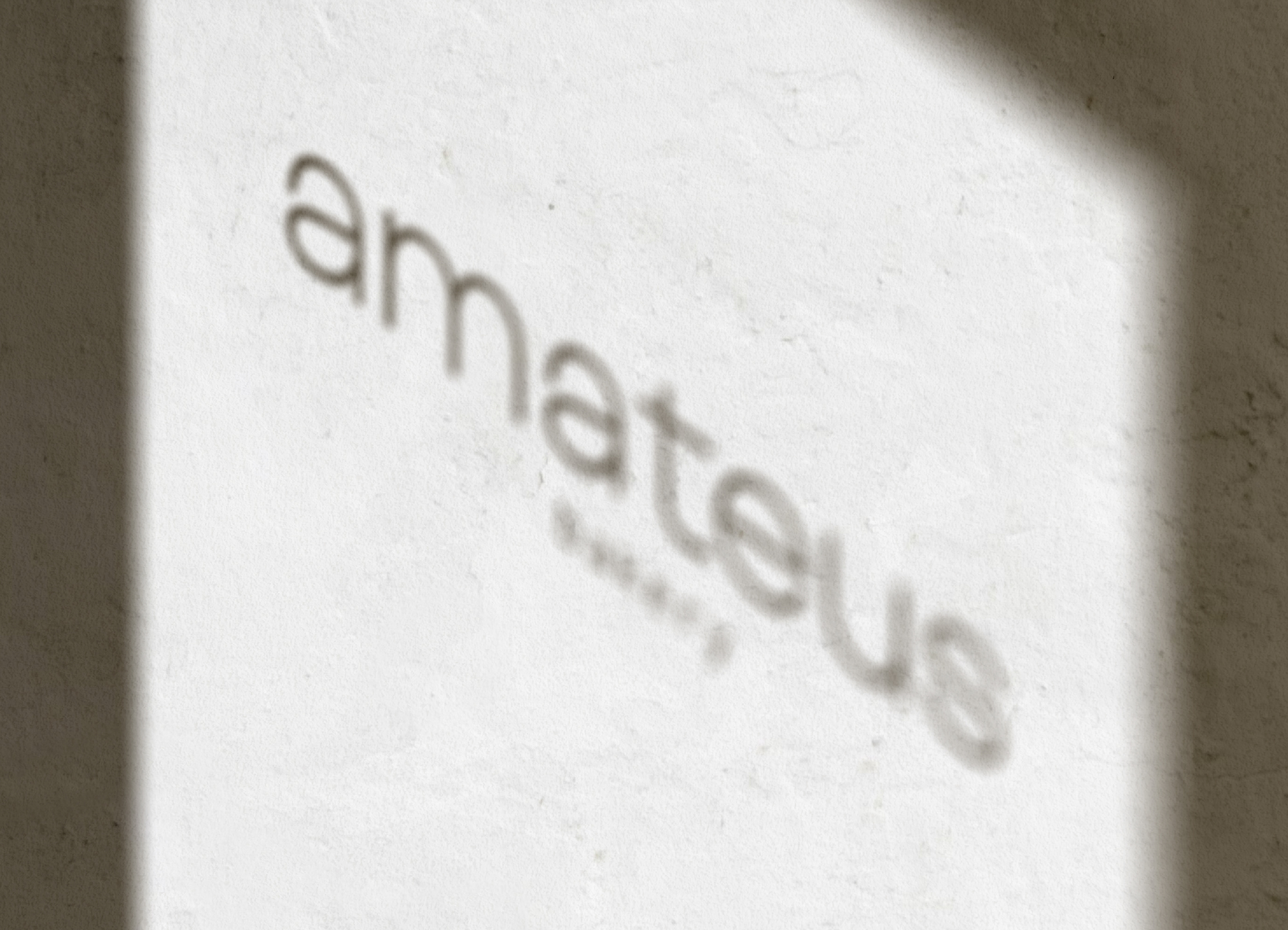 Amateus bakery | Brand Identity — Изображение №12 — Брендинг, Иллюстрация на Dprofile