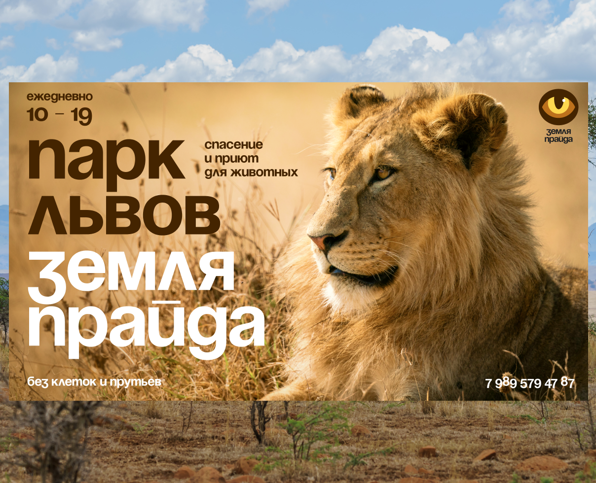 Дизайн баннеров — Брендинг, Графика на Dprofile