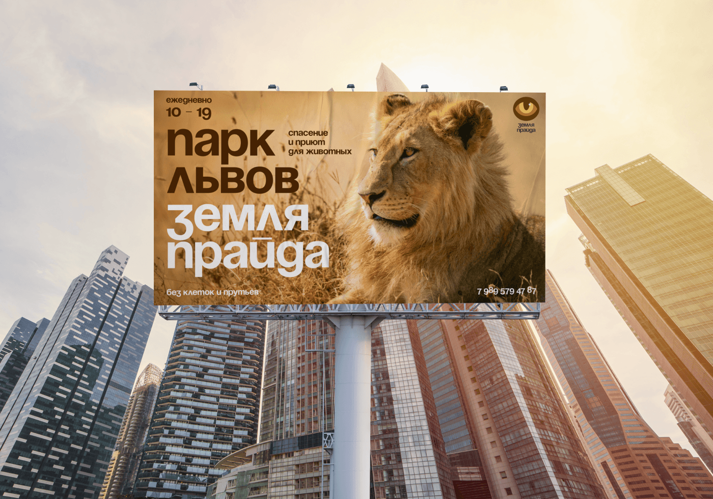 Дизайн баннеров — Изображение №2 — Брендинг, Графика на Dprofile