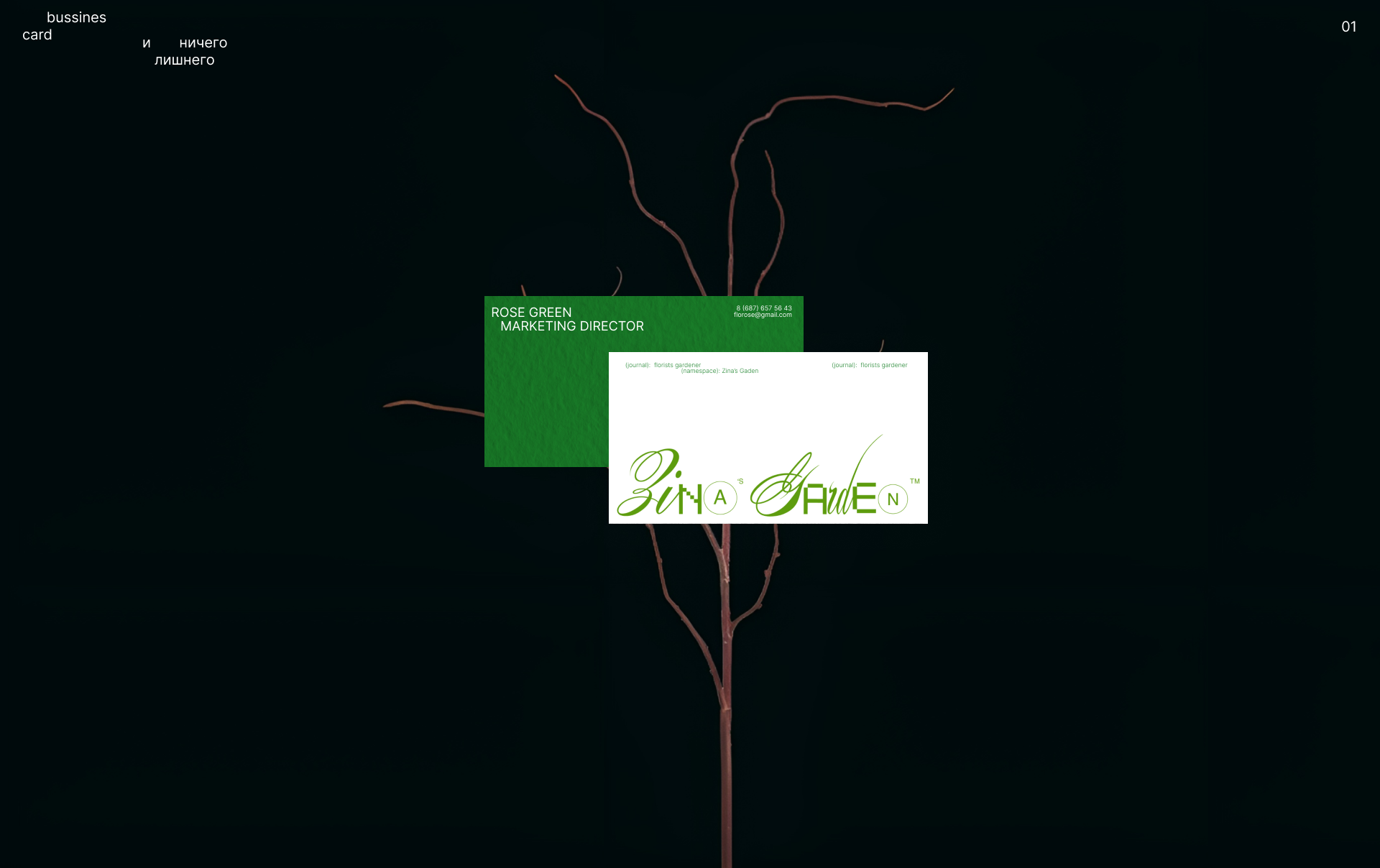 Zina's Garden — Изображение №4 — Брендинг на Dprofile