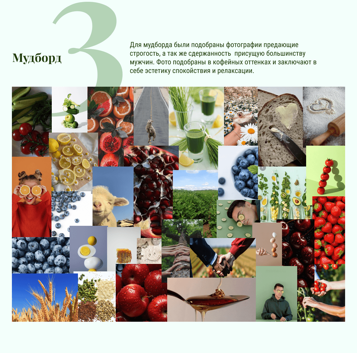 Website for the natural farming farm "GROC" — Изображение №6 — Брендинг, Иллюстрация на Dprofile