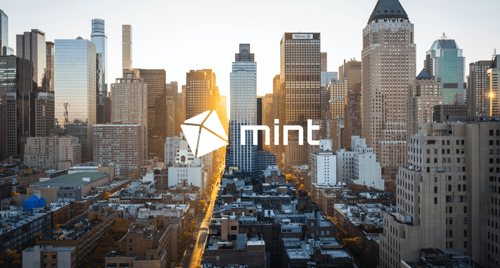 Mint — производитель портативной техники — Изображение №1 — Брендинг на Dprofile