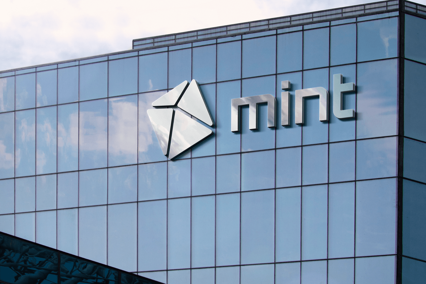 Mint — производитель портативной техники — Изображение №8 — Брендинг на Dprofile