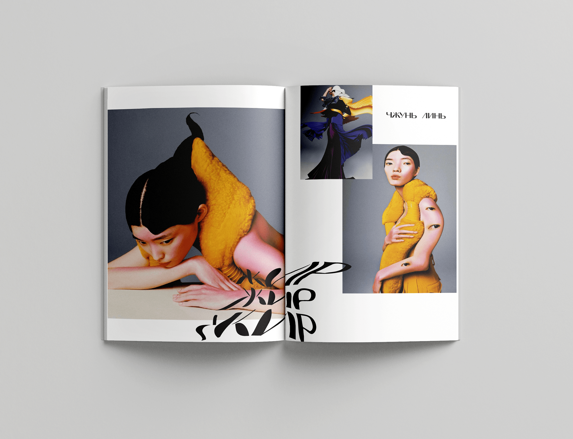 Layout of magazine — Изображение №14 — Брендинг, Графика на Dprofile