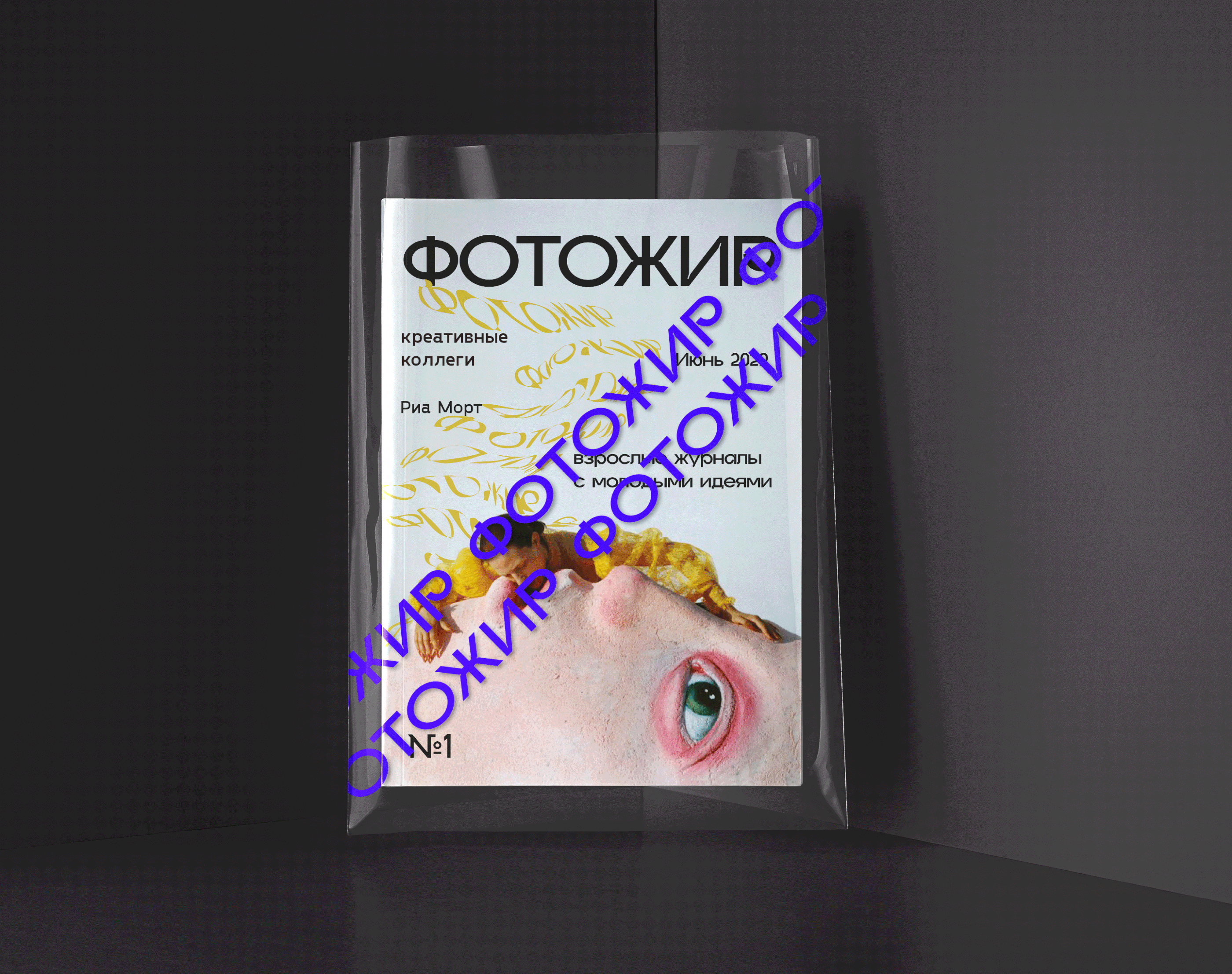 Layout of magazine — Изображение №1 — Брендинг, Графика на Dprofile