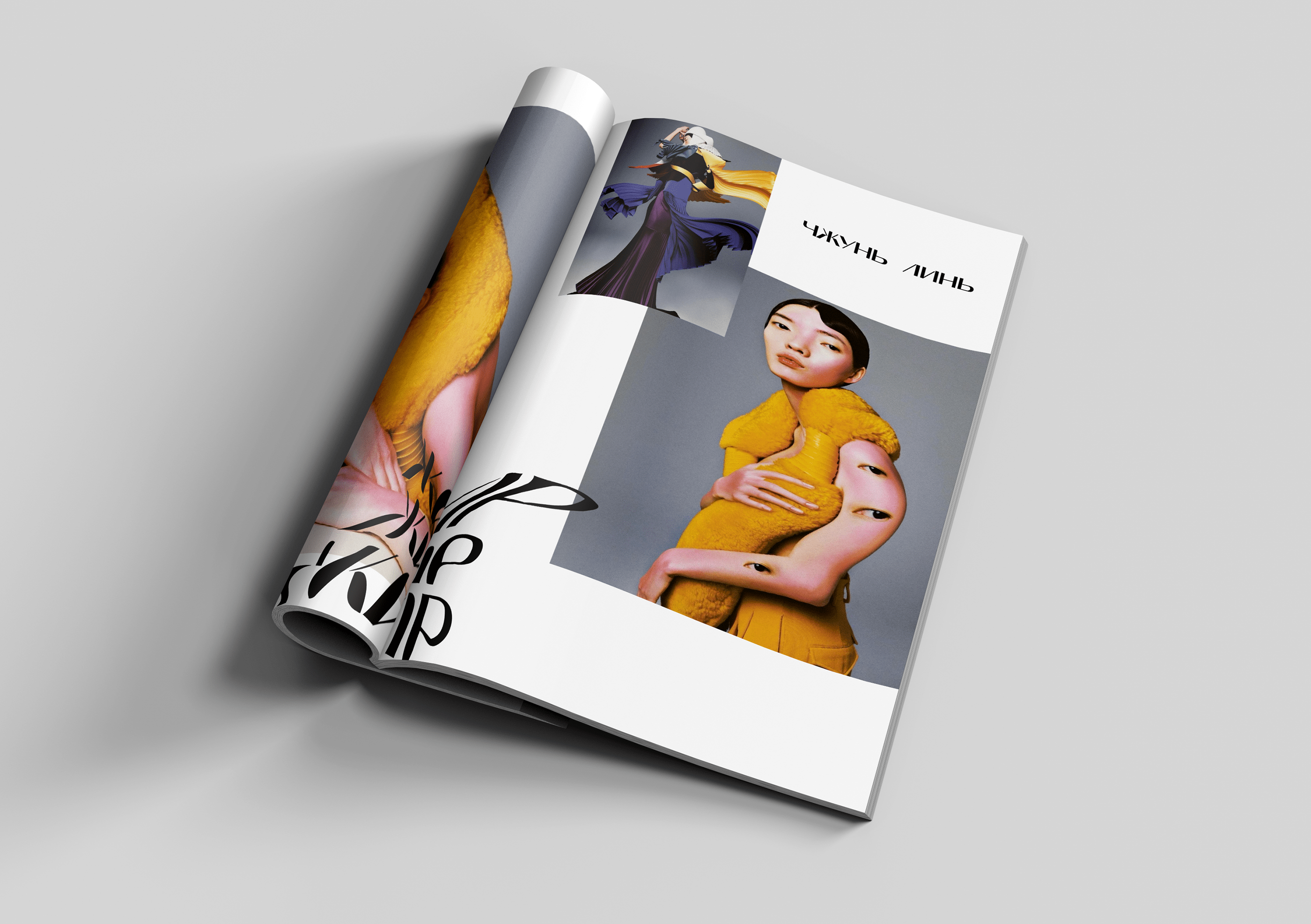Layout of magazine — Изображение №13 — Брендинг, Графика на Dprofile