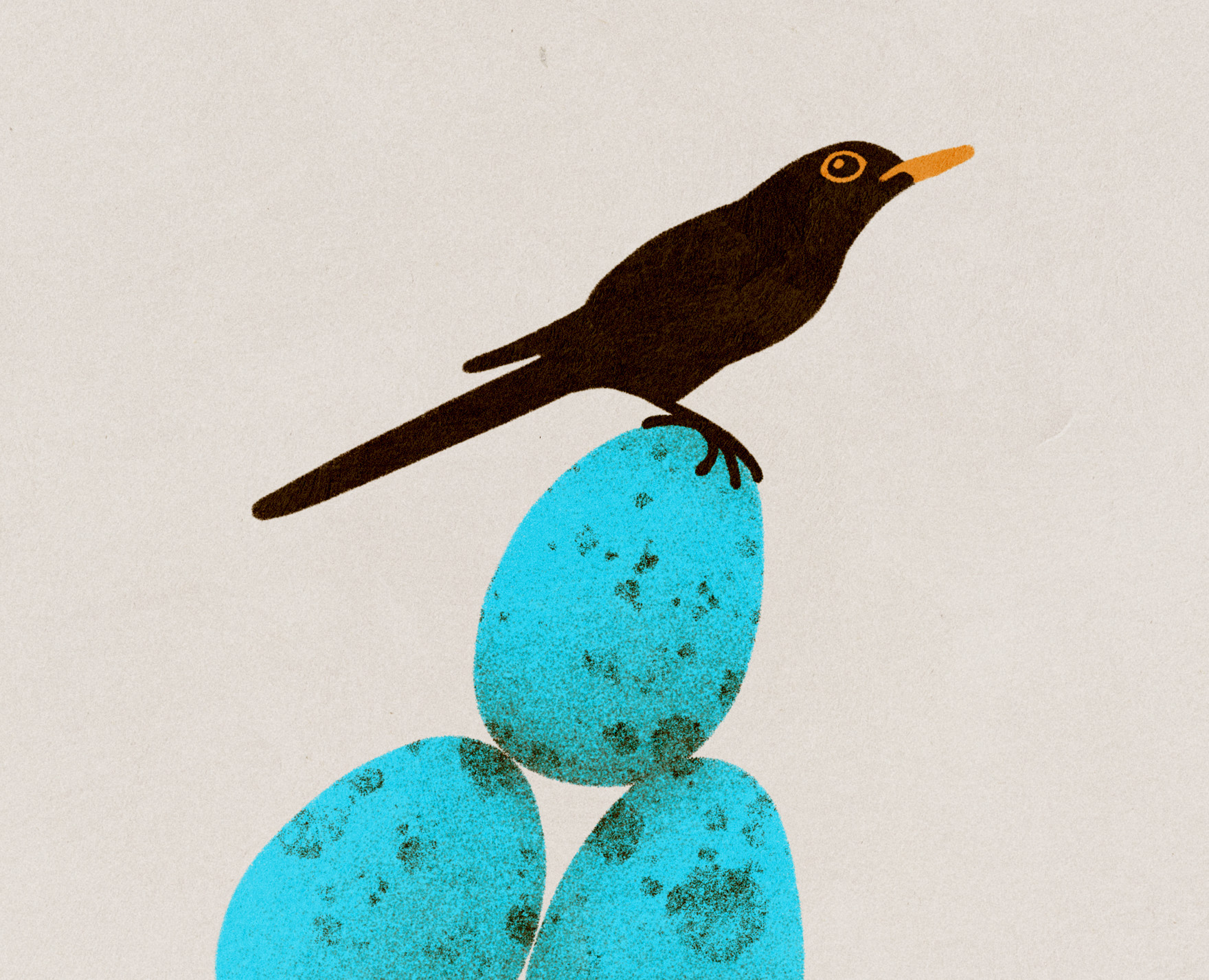 Birds на Dprofile