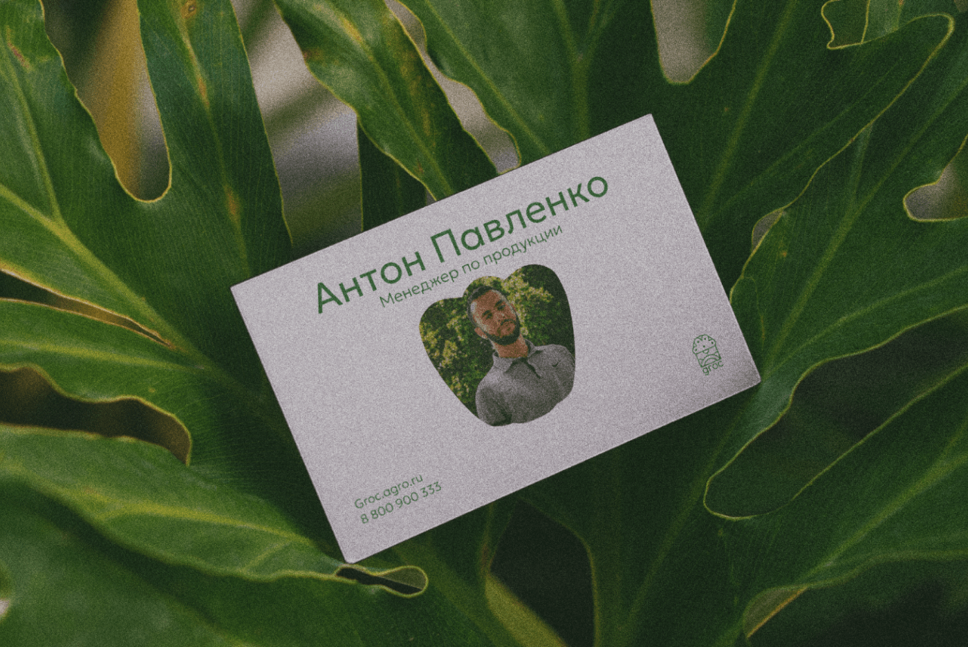 Groc — agroholding — Изображение №4 — Брендинг на Dprofile