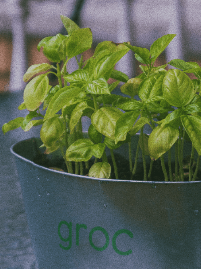 Groc — agroholding — Изображение №11 — Брендинг на Dprofile
