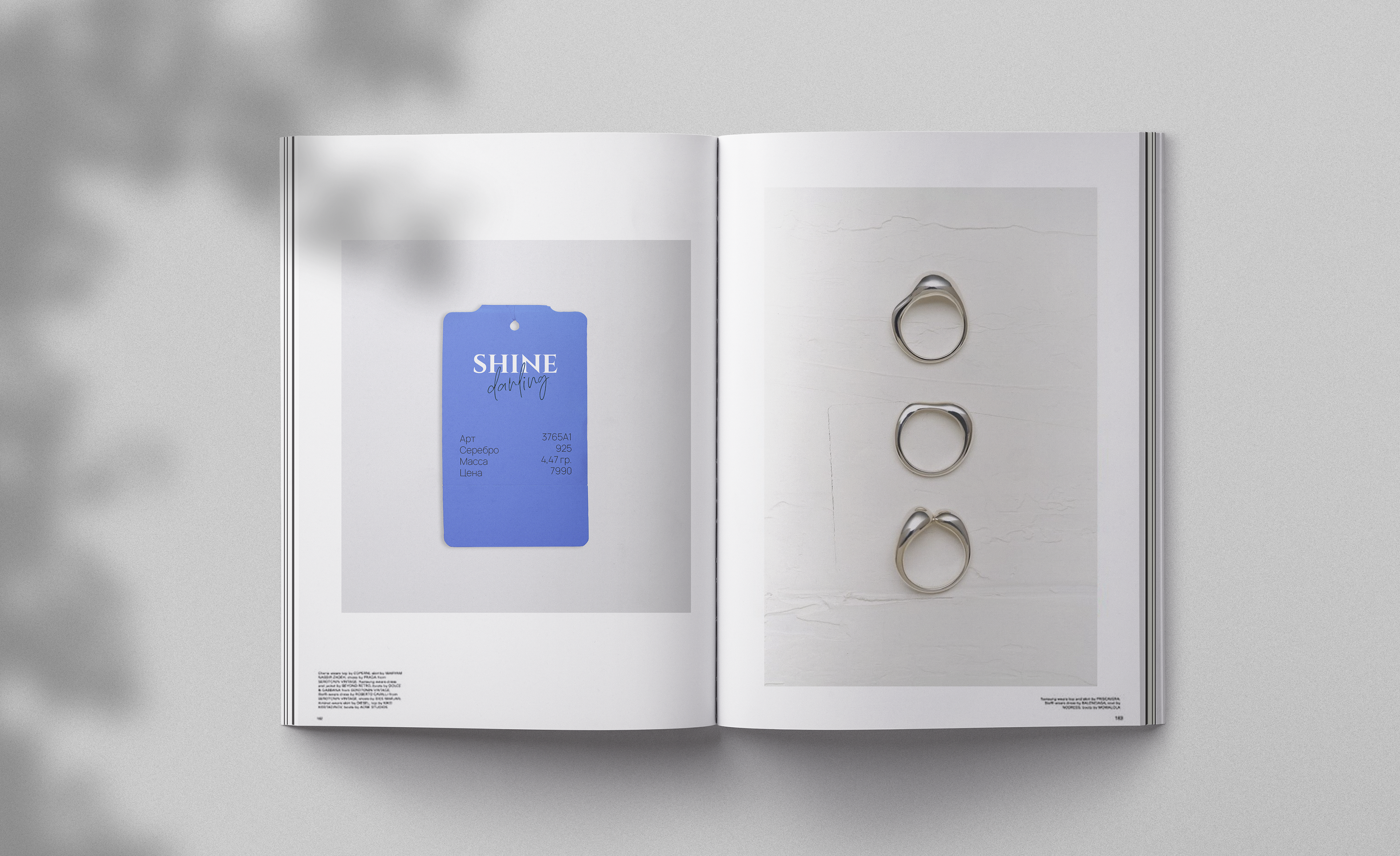 Shine darling фирменный стиль ювелирного бренда — Изображение №12 — Брендинг на Dprofile