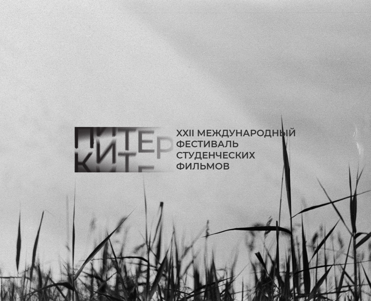 Logo The International Student Film Festival PiterKit — Брендинг на Dprofile