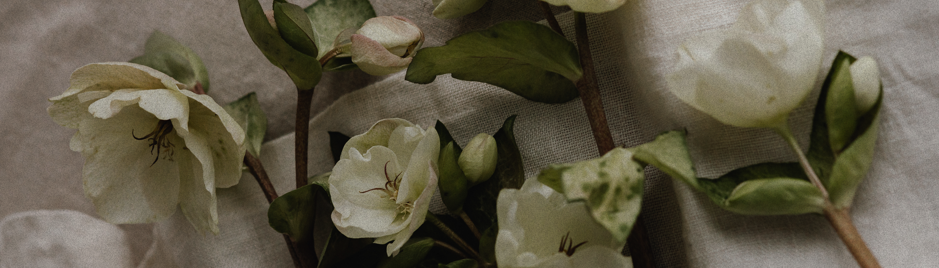 FLOWER BOUTIQUE - Branding — Изображение №9 — Брендинг на Dprofile
