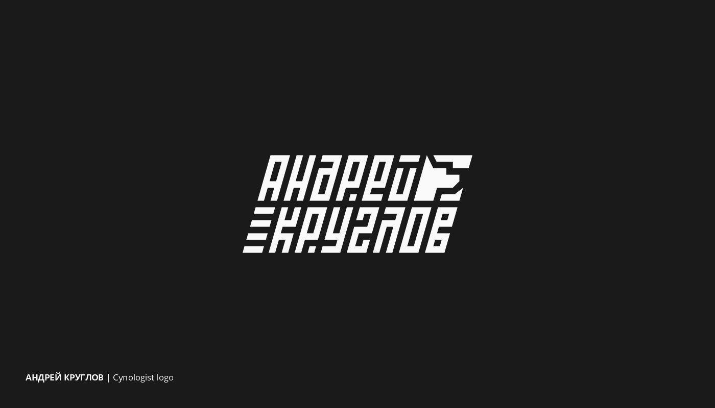 LETTERING LOGOS & PRINTS | 20-21 # 2 — Изображение №20 — Брендинг, Графика на Dprofile
