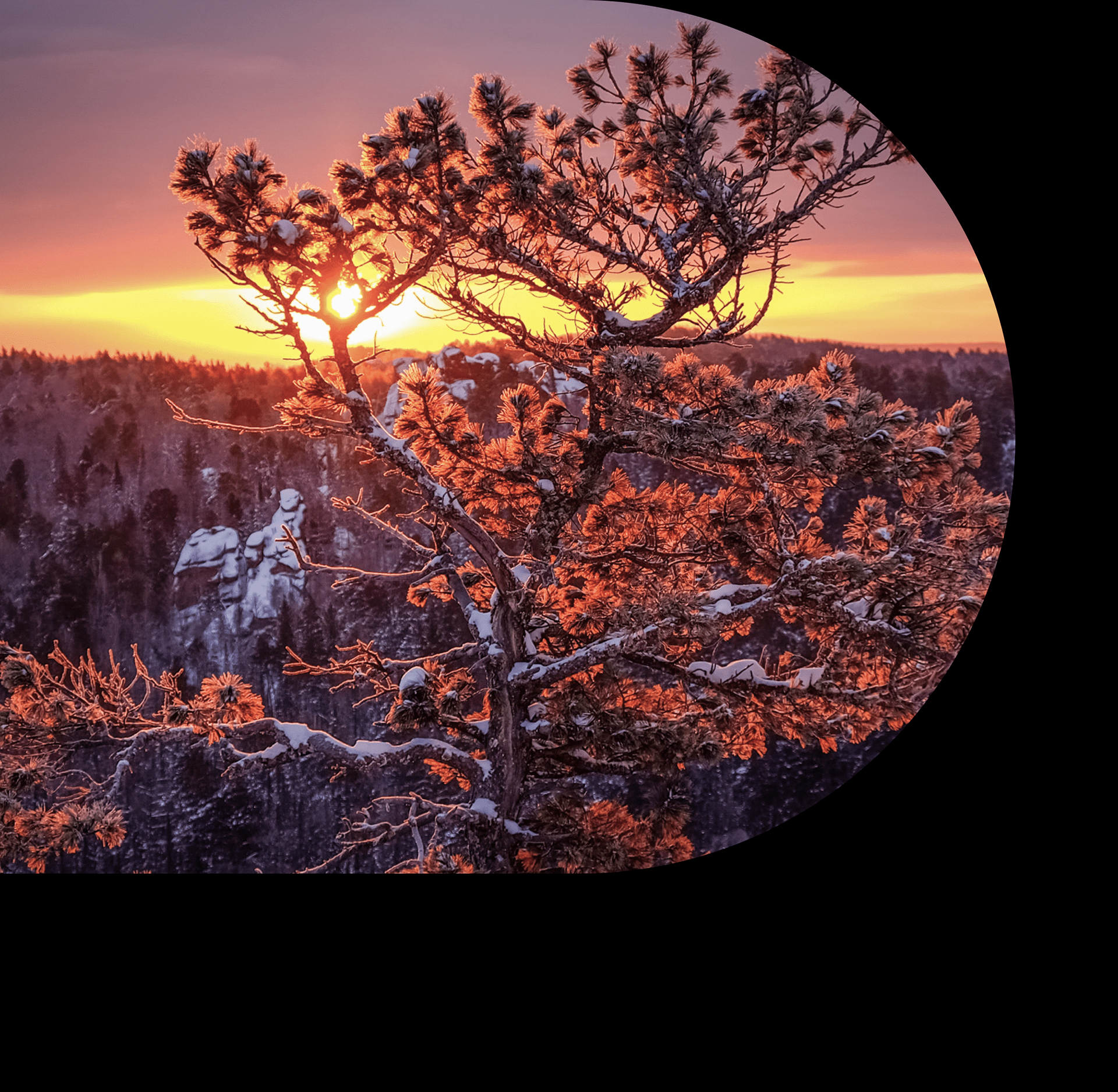 Stolby Siberia — Изображение №5 — Интерфейсы, Иллюстрация, Графика на Dprofile