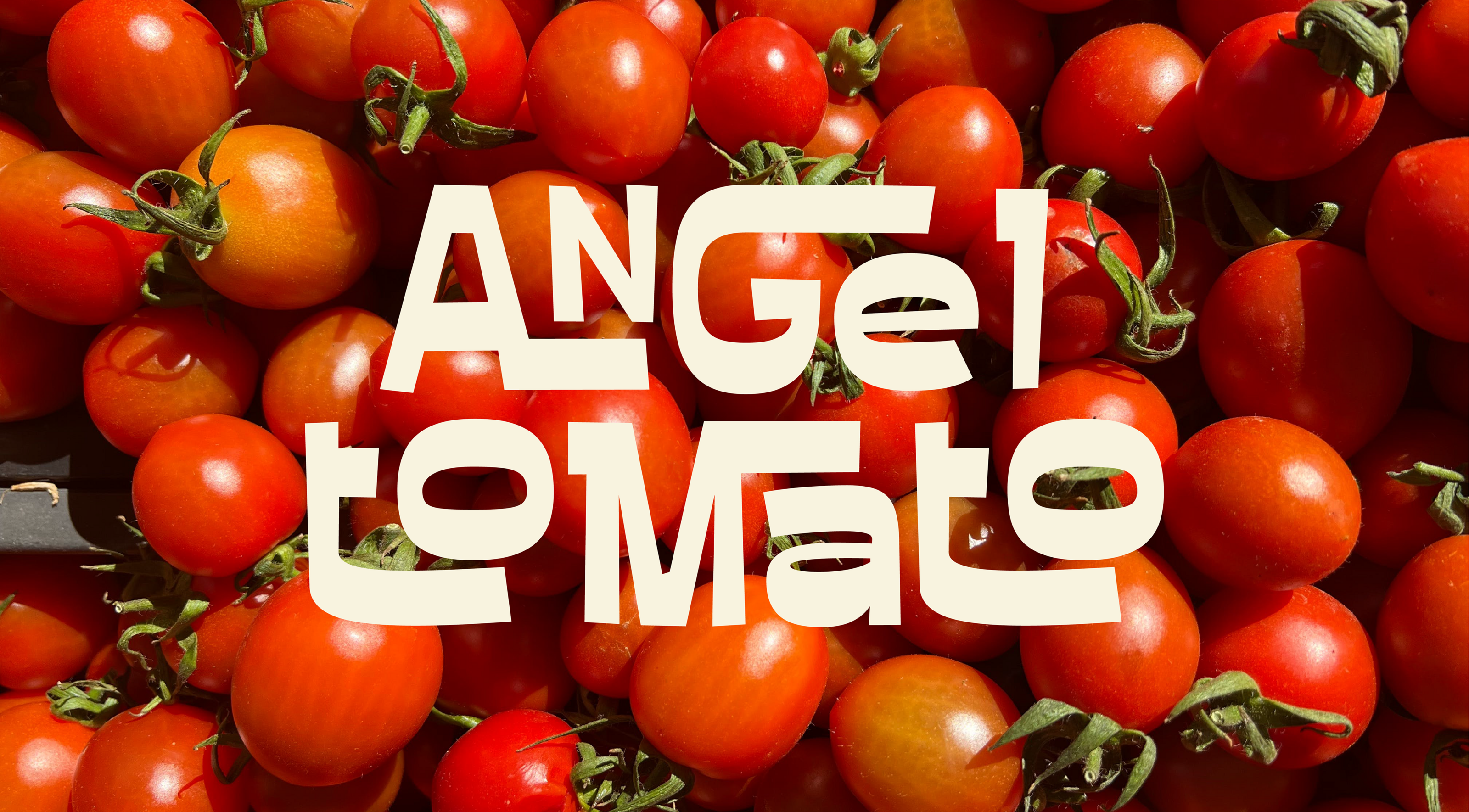 Angel Tomato farm — Изображение №1 — Брендинг на Dprofile
