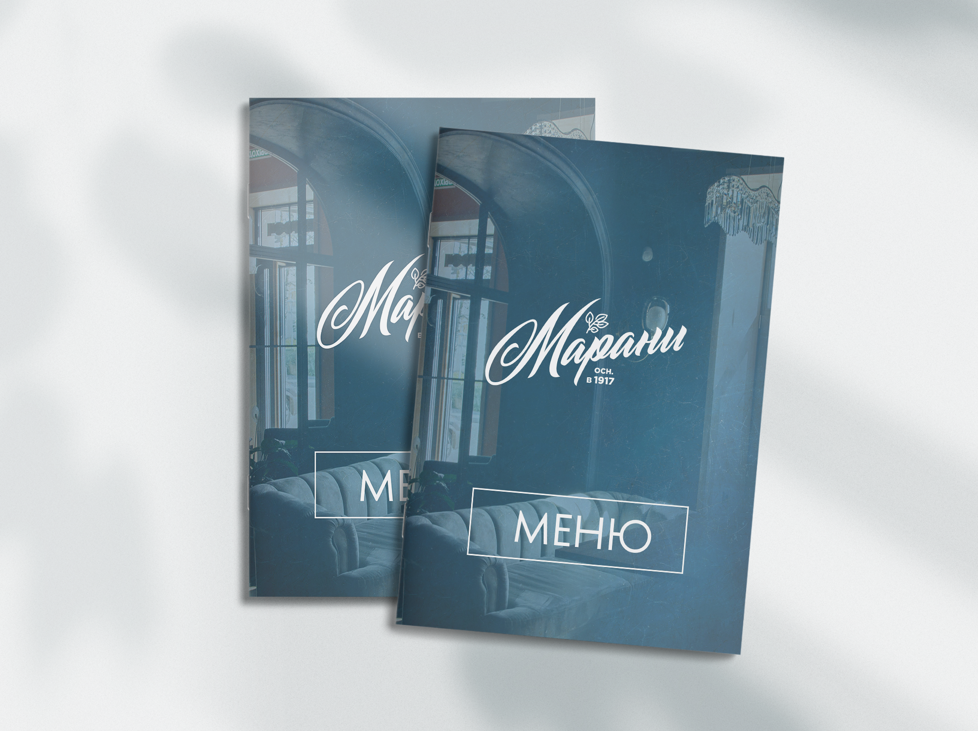 Дизайн и верстка меню для ресторана — Изображение №2 — Графика на Dprofile