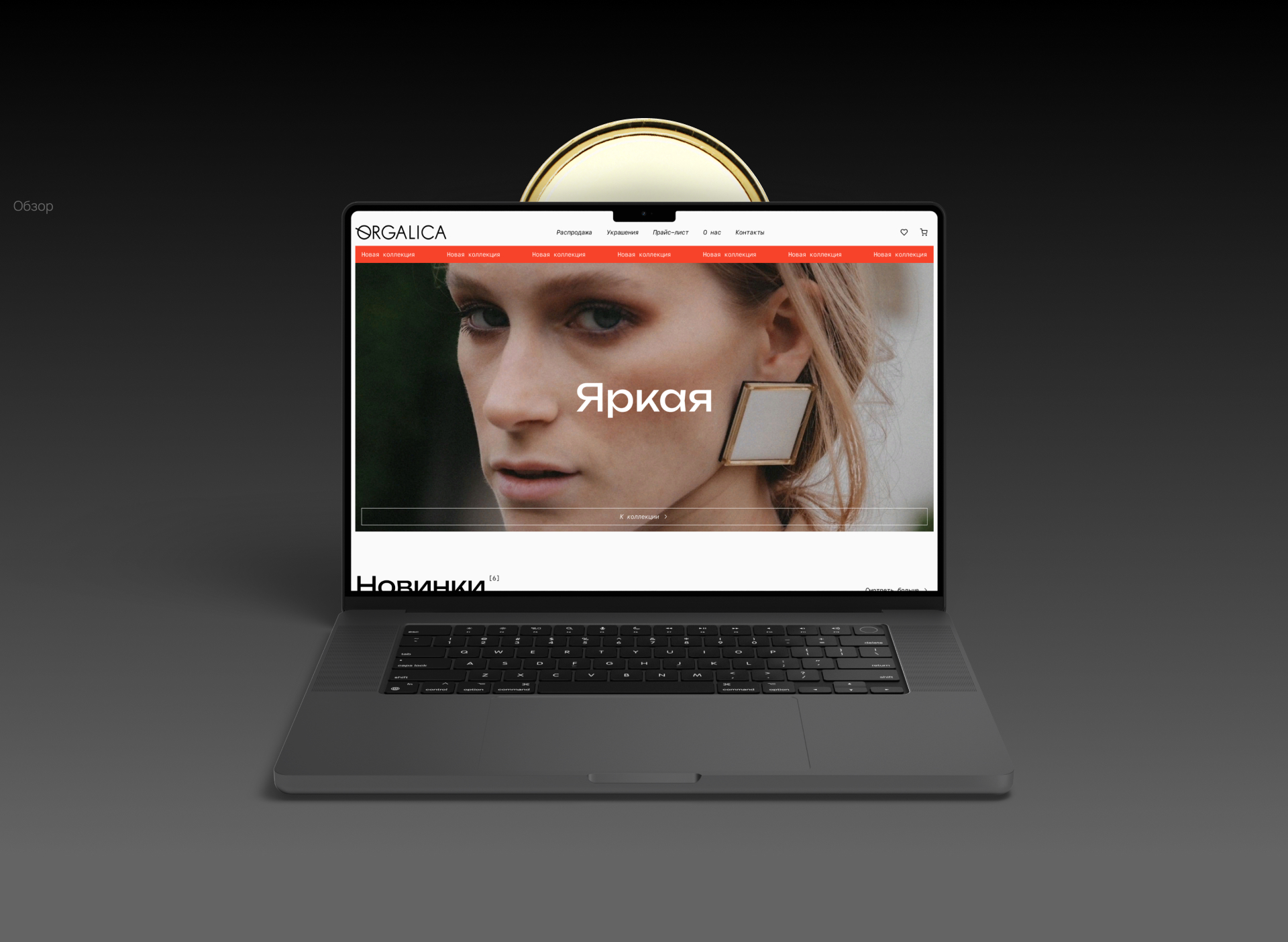 Orgalica — онлайн магазин украшений — Изображение №2 — Интерфейсы на Dprofile