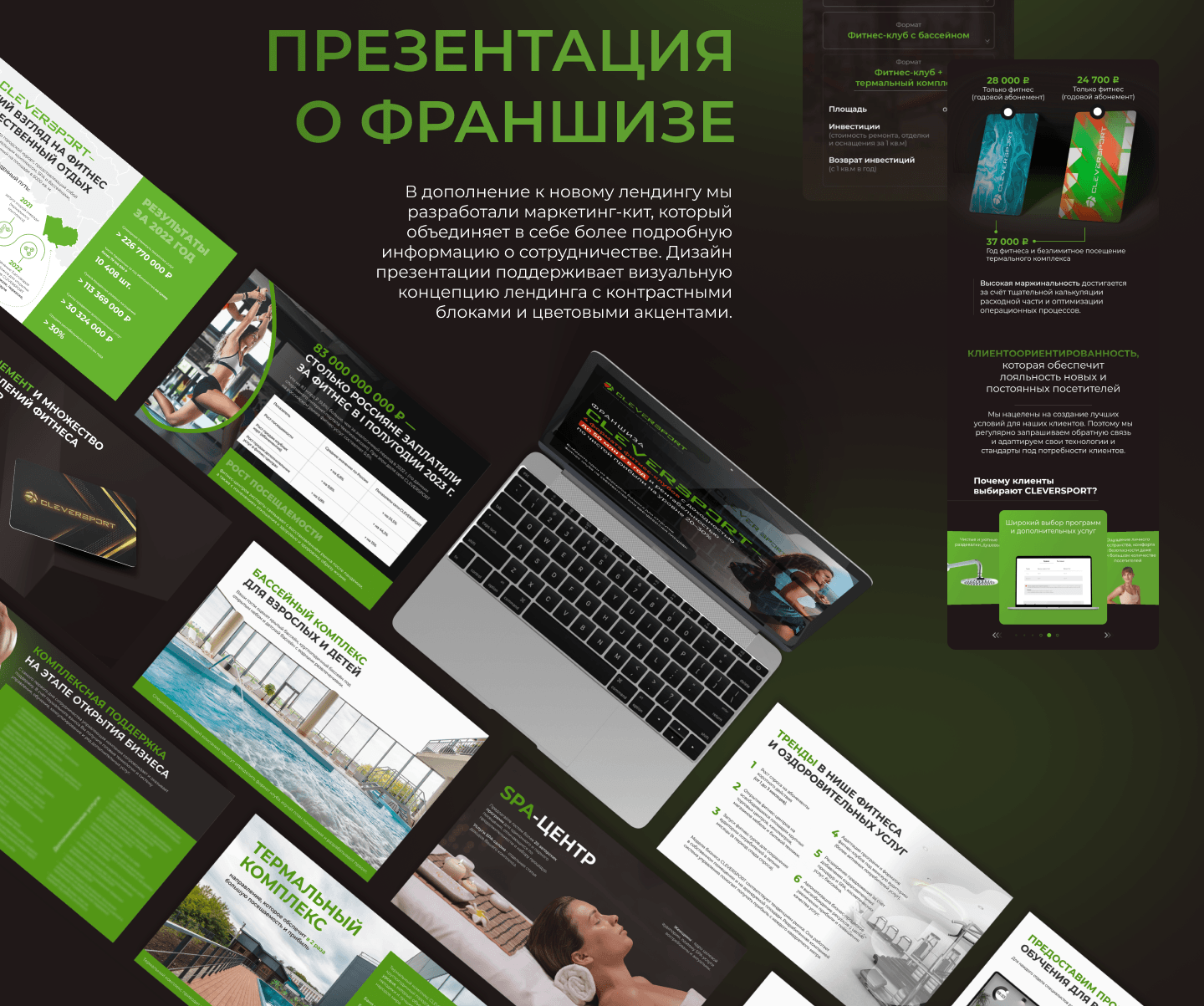 редизайн лендинга для франшизы фитнес клуба Cleversport — Изображение №7 — Интерфейсы, Маркетинг на Dprofile