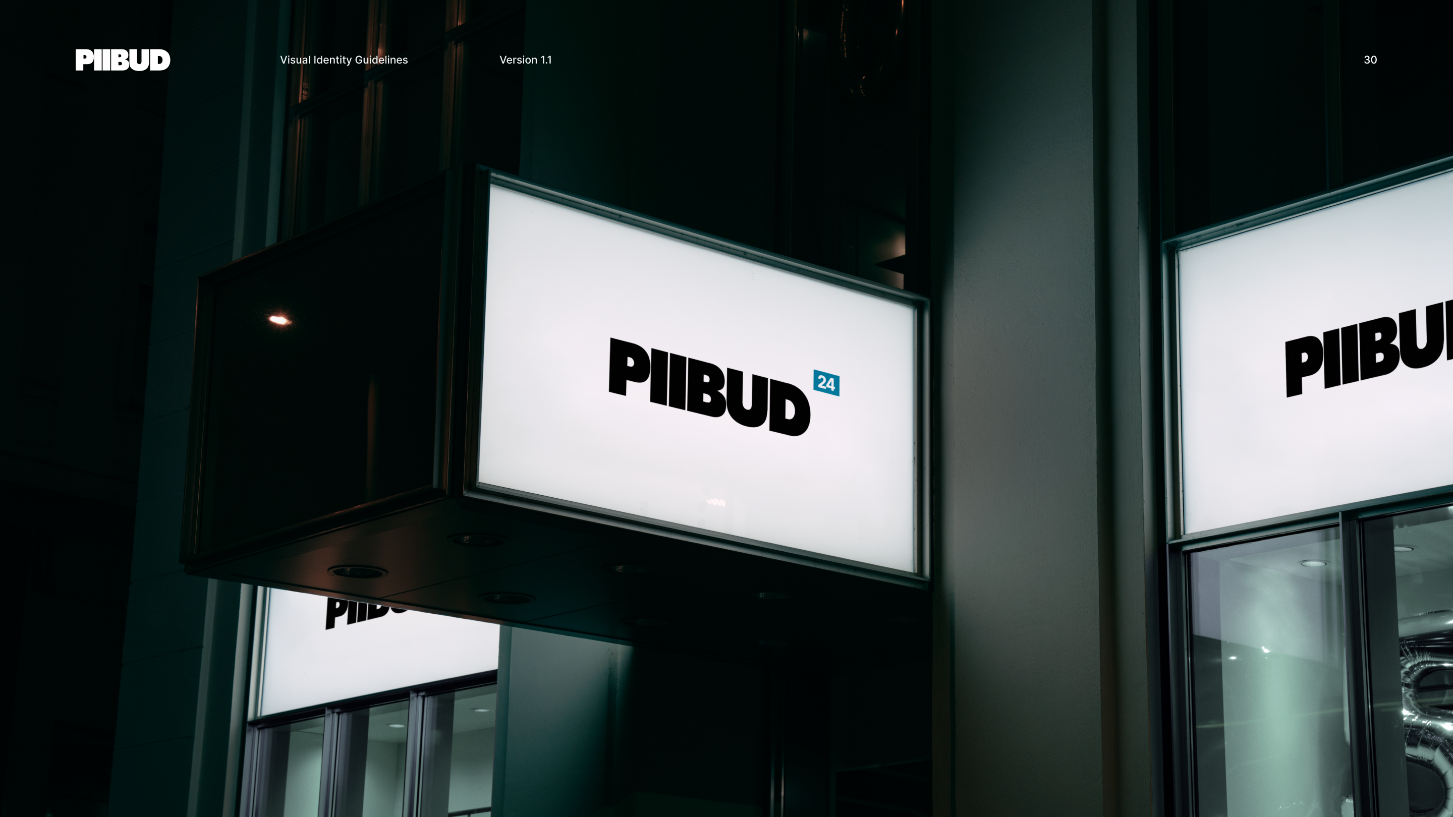 PIIBUD Brand Identity — Изображение №30 — Брендинг, 3D на Dprofile