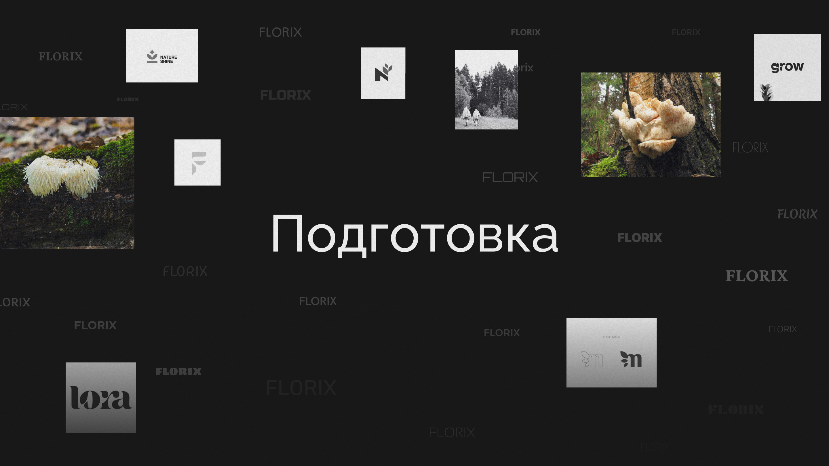 БАДы «Florix» | Логотип & упаковка — Изображение №3 — Брендинг на Dprofile