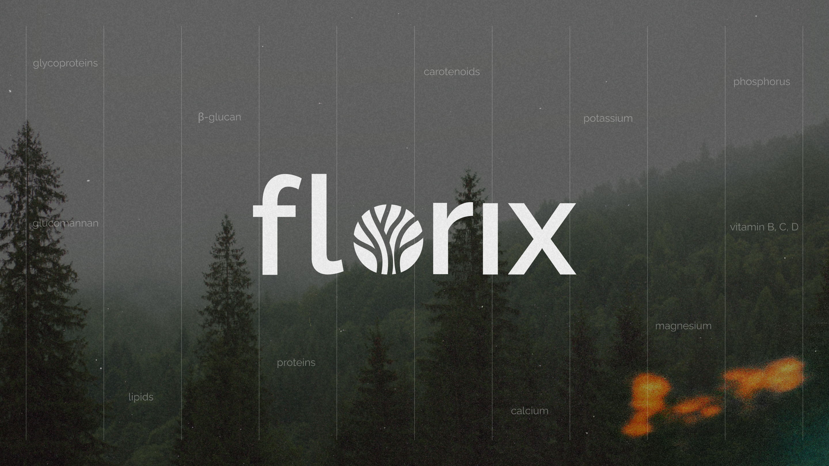 БАДы «Florix» | Логотип & упаковка — Изображение №1 — Брендинг на Dprofile