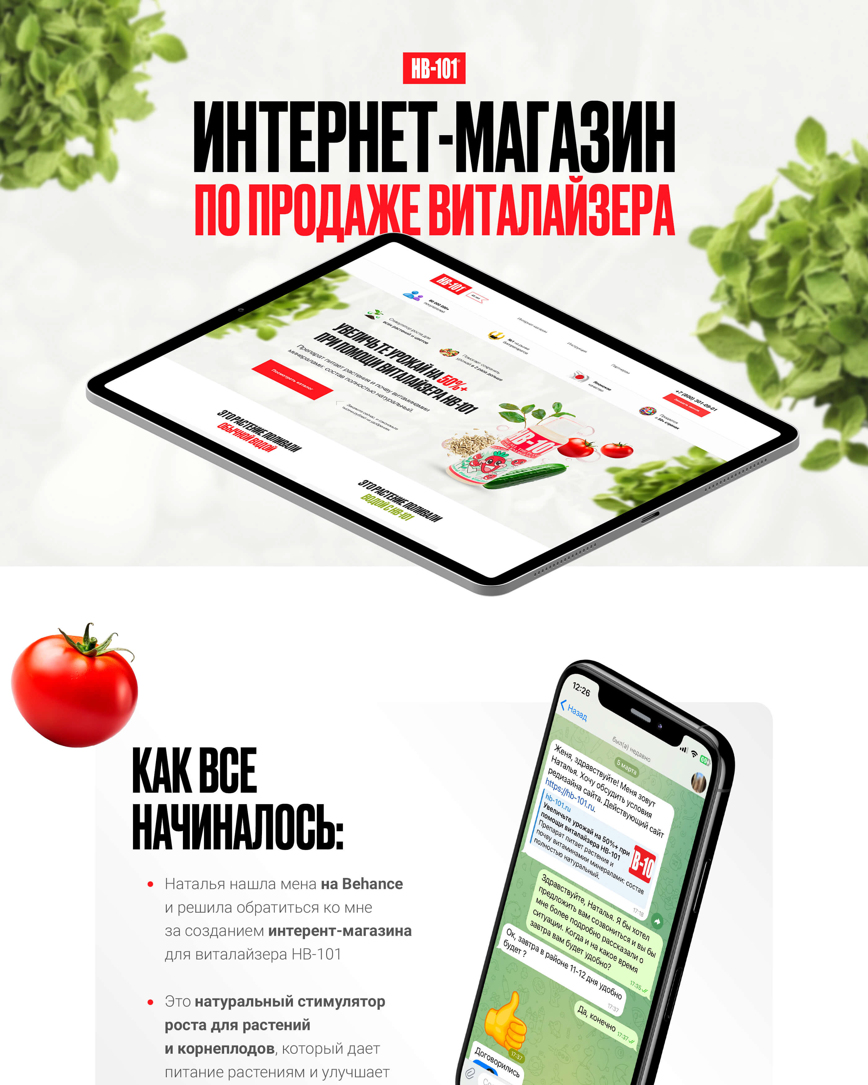 Интернет-магазин по продаже виталайзера — Изображение №1 — Интерфейсы, Маркетинг на Dprofile