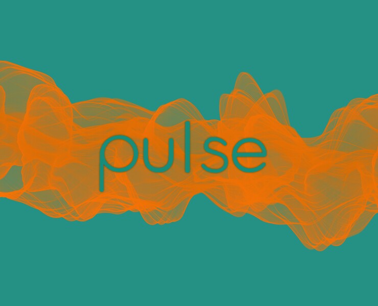 pulse — Брендинг, Графика на Dprofile