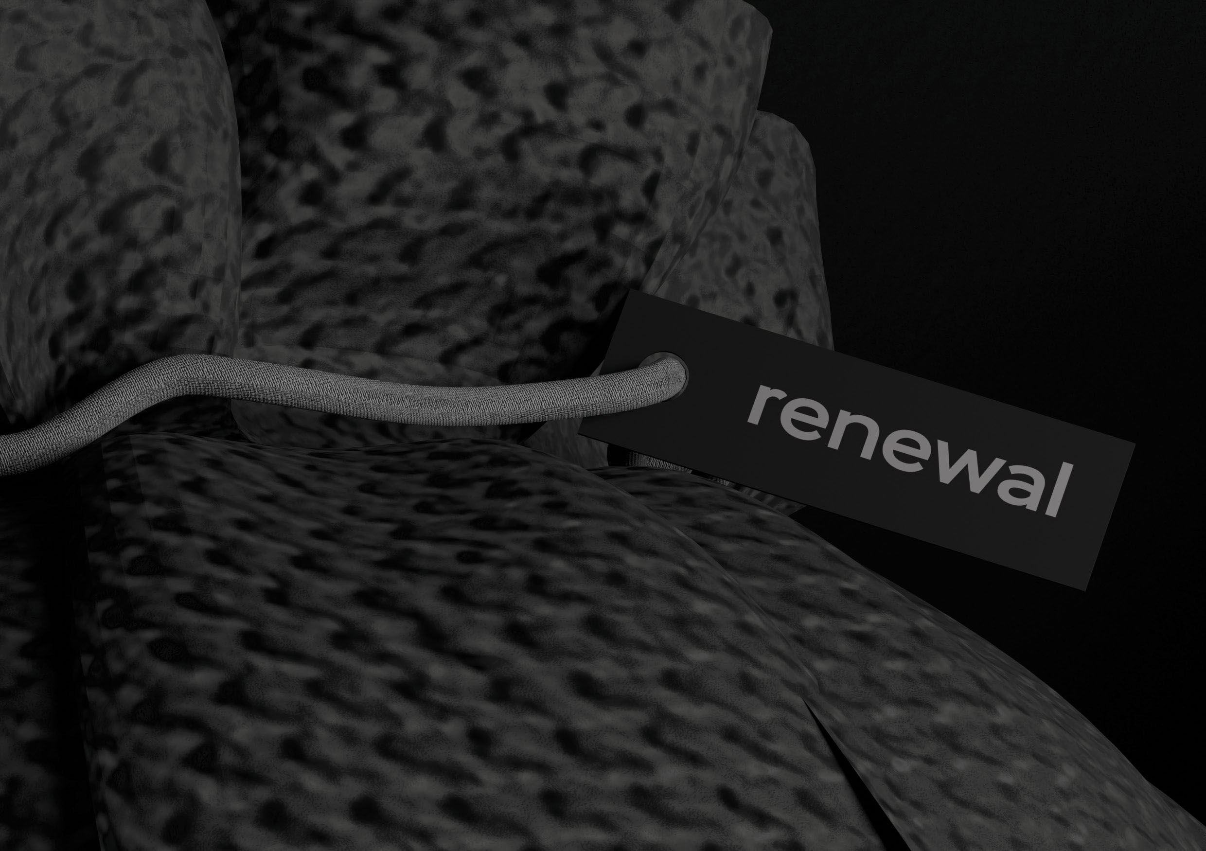 renewal упаковка — Изображение №6 — Брендинг, 3D на Dprofile