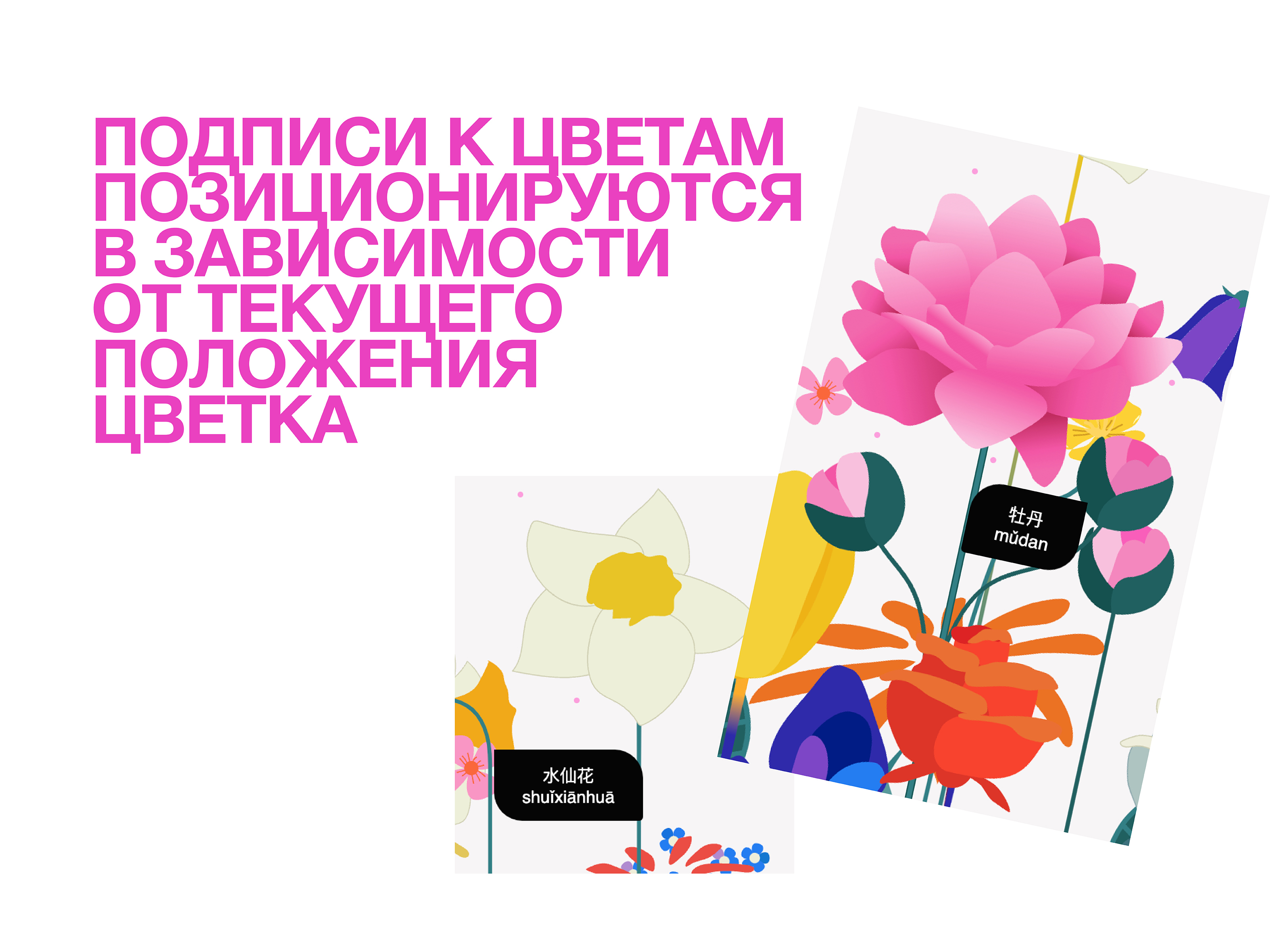 Цветы — Изображение №6 — Интерфейсы, Анимация на Dprofile