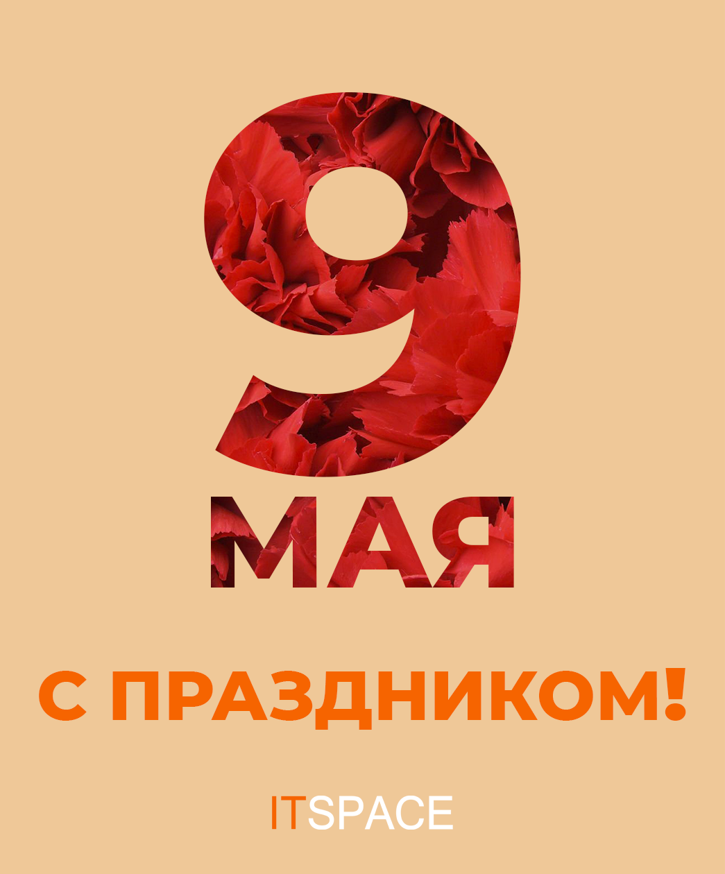 Оформление соцсетей ITSpace — Изображение №9 — Графика, Маркетинг на Dprofile