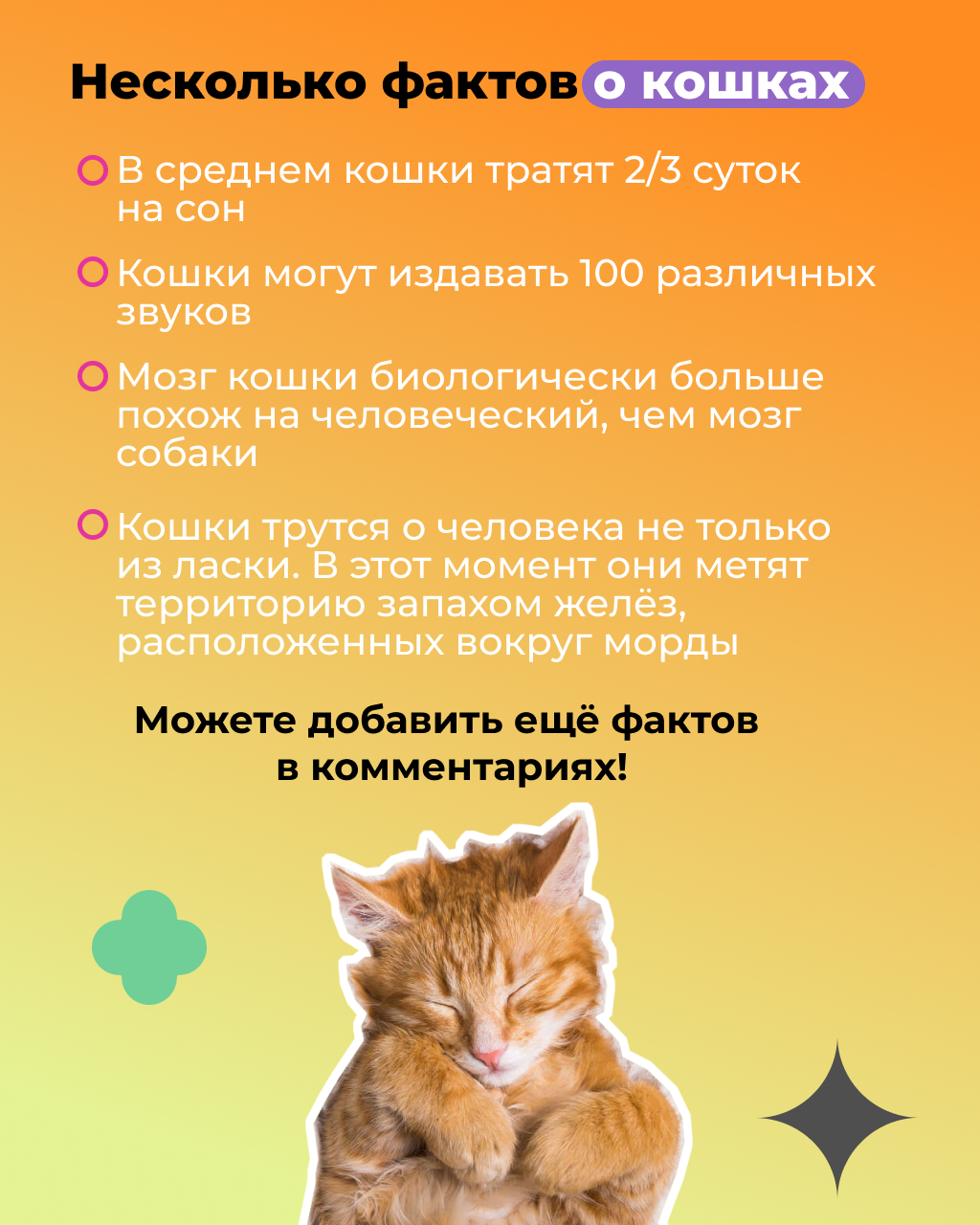 Оформление соцсетей ITSpace — Изображение №25 — Графика, Маркетинг на Dprofile