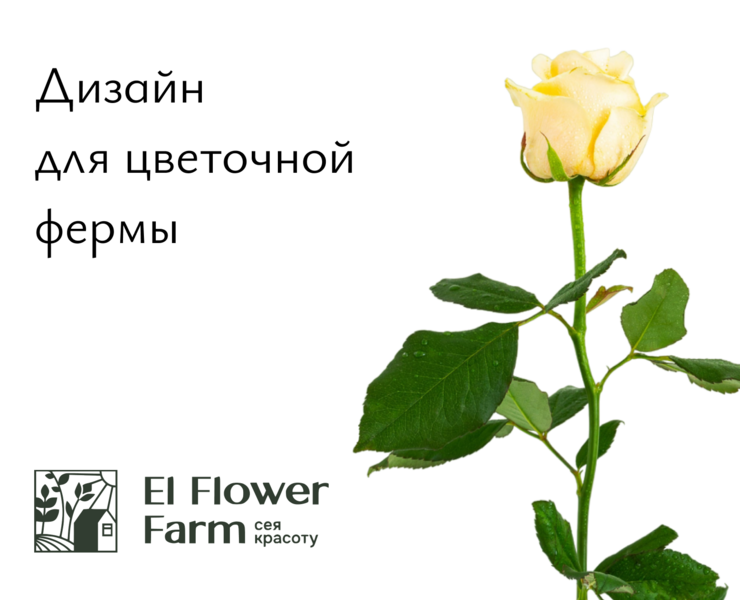 El Flower Farm цветочная ферма на Dprofile