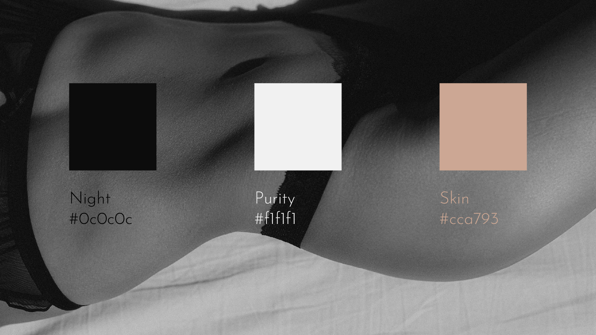 Blossom & Lace / logo / identity — Изображение №4 — Брендинг на Dprofile
