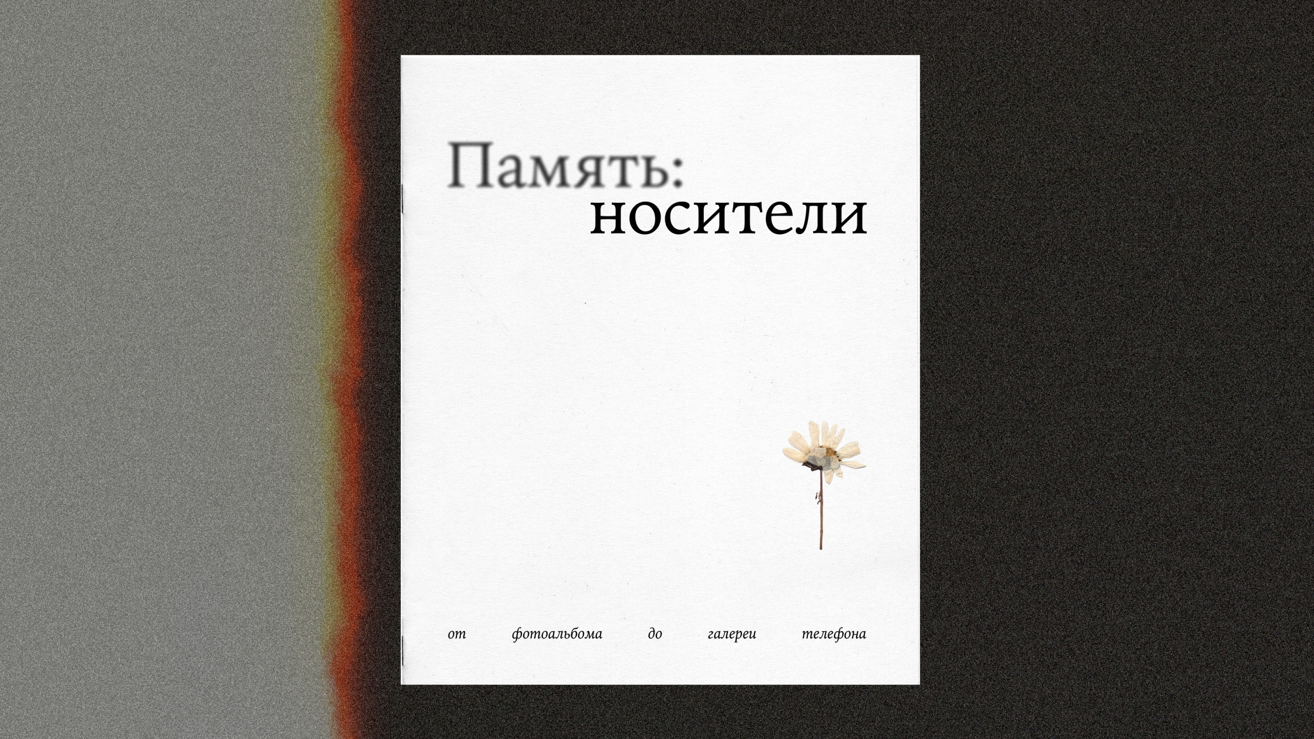память: носители зин — Изображение №1 — Графика на Dprofile