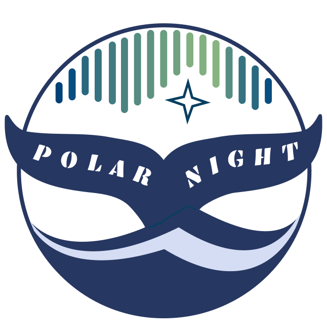POLAR NIGHT| Logo | Brand design | Identity — Изображение №2 — Брендинг, Графика на Dprofile