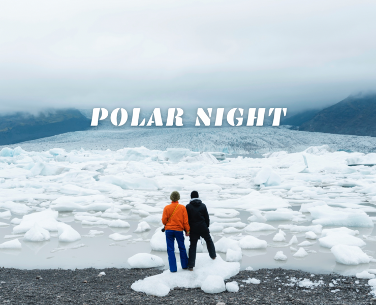 POLAR NIGHT| Logo | Brand design | Identity — Брендинг, Графика на Dprofile