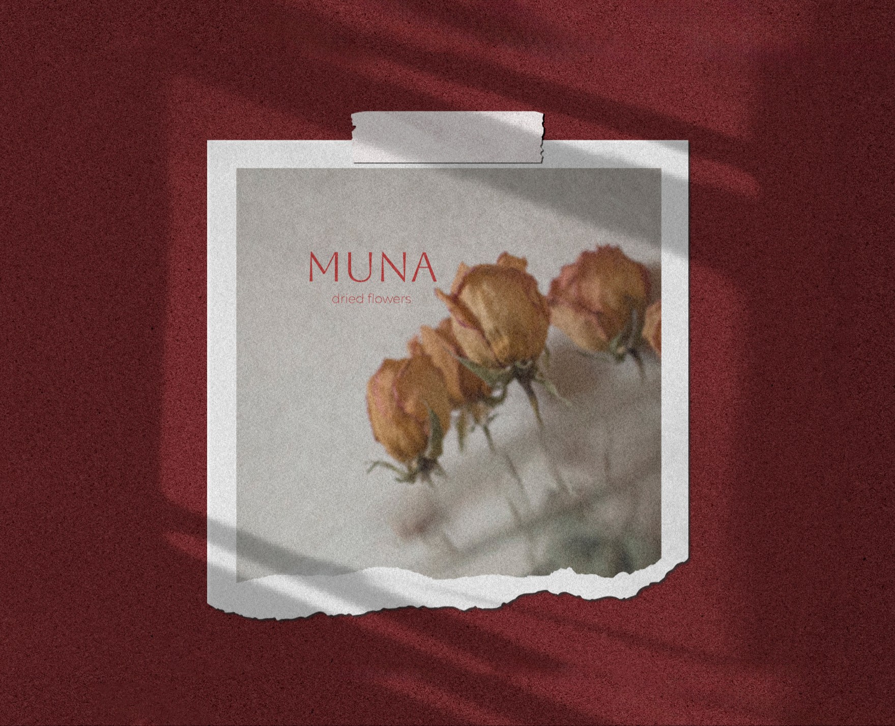 MUNA | Нейминг | Айдентика | Brand Identity — Брендинг на Dprofile