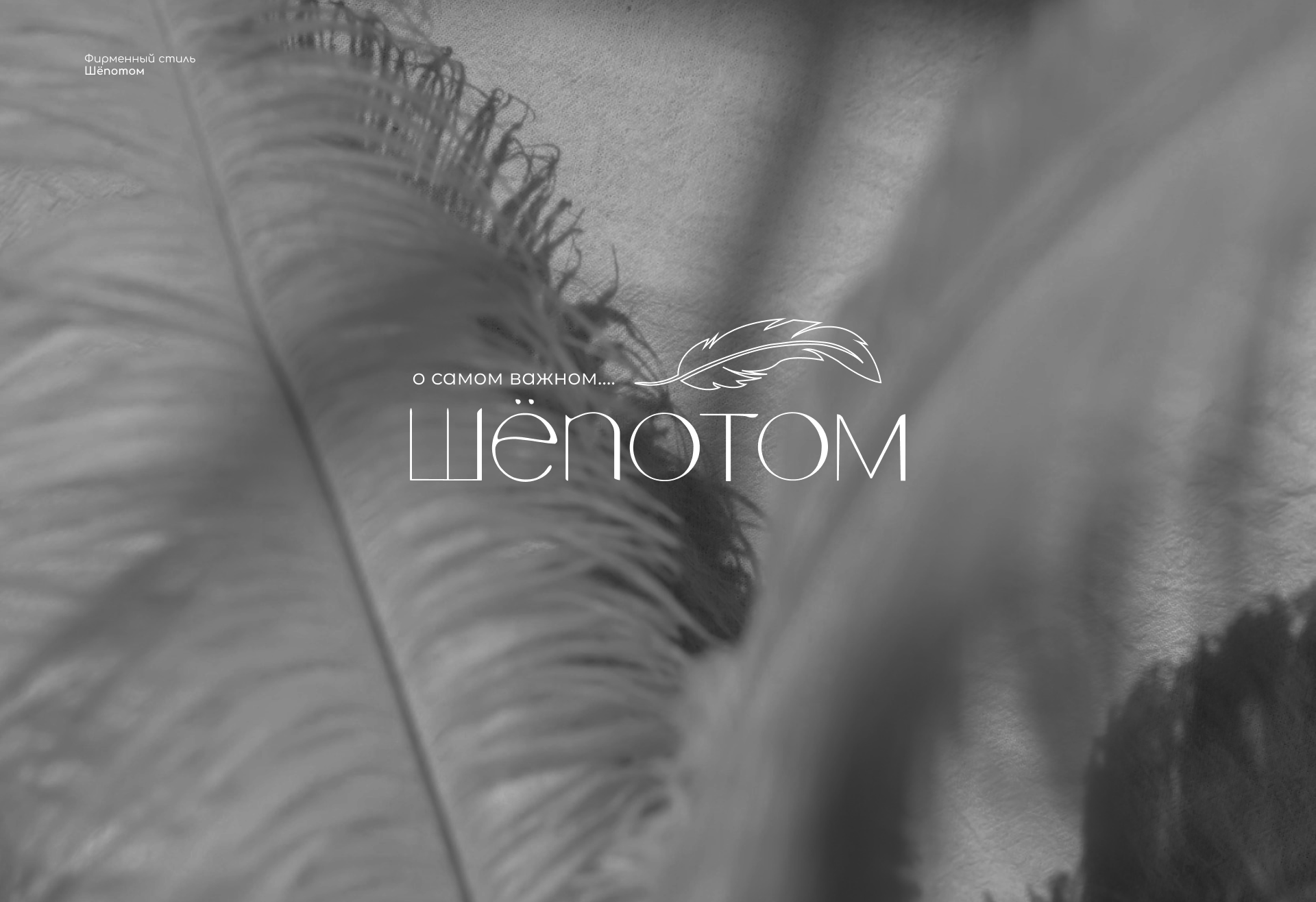 Фирменный стиль для бренда «Шёпотом»| Branding design — Изображение №3 — Брендинг на Dprofile