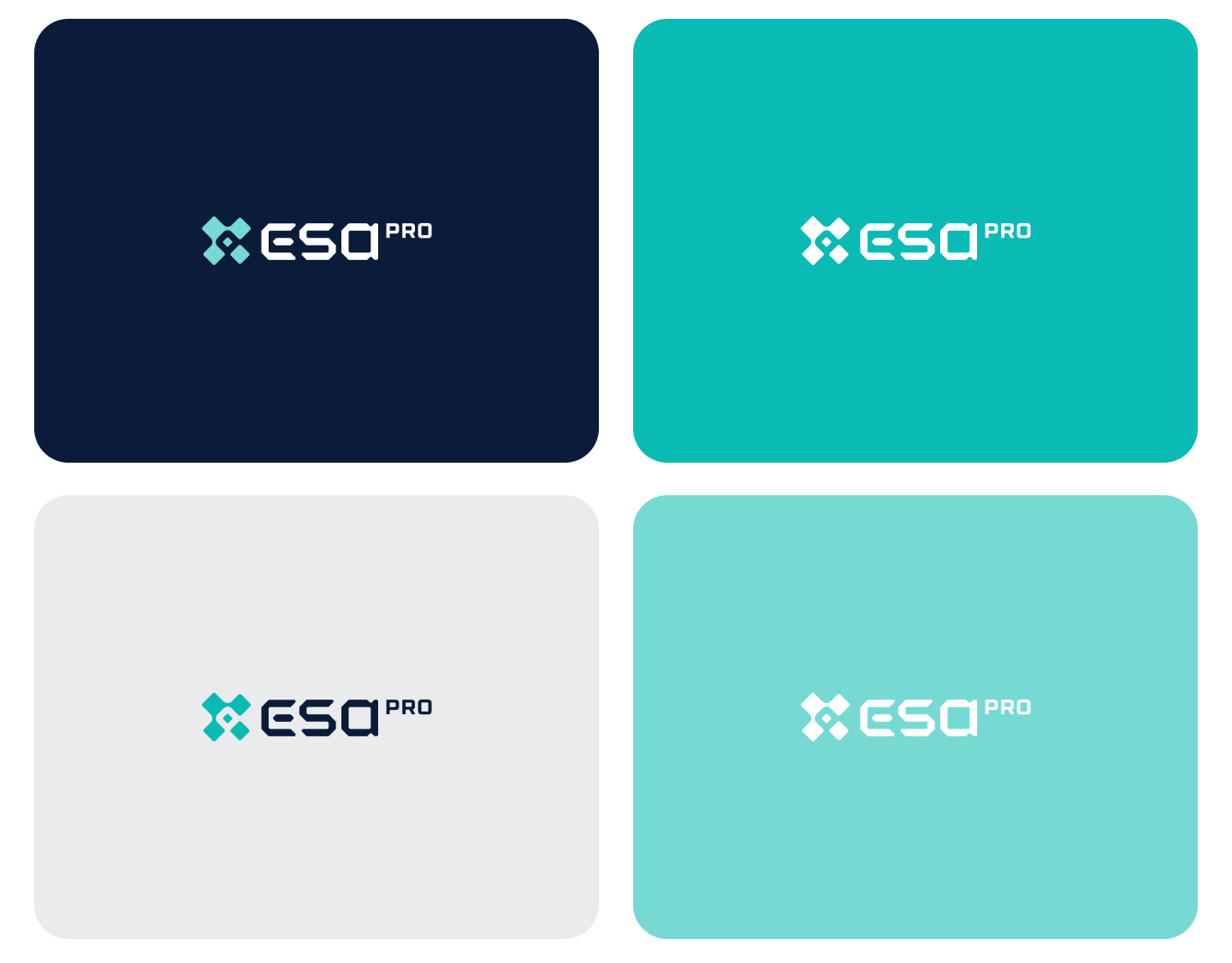 ESA PRO кибербезопасность — Изображение №9 — Интерфейсы, Брендинг на Dprofile