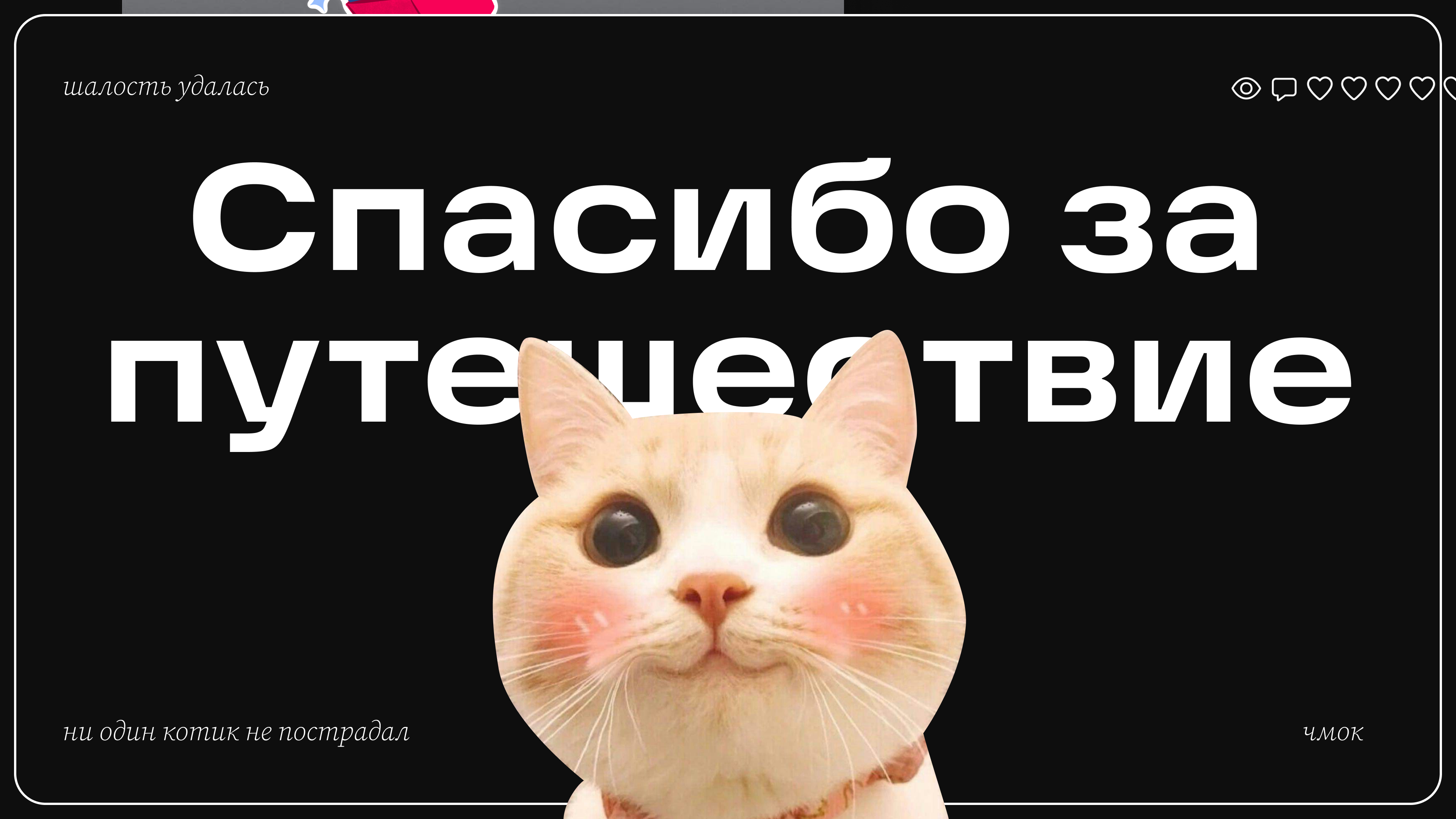 Telegram | Визуальное сопровождение — Изображение №9 — Графика, Маркетинг на Dprofile
