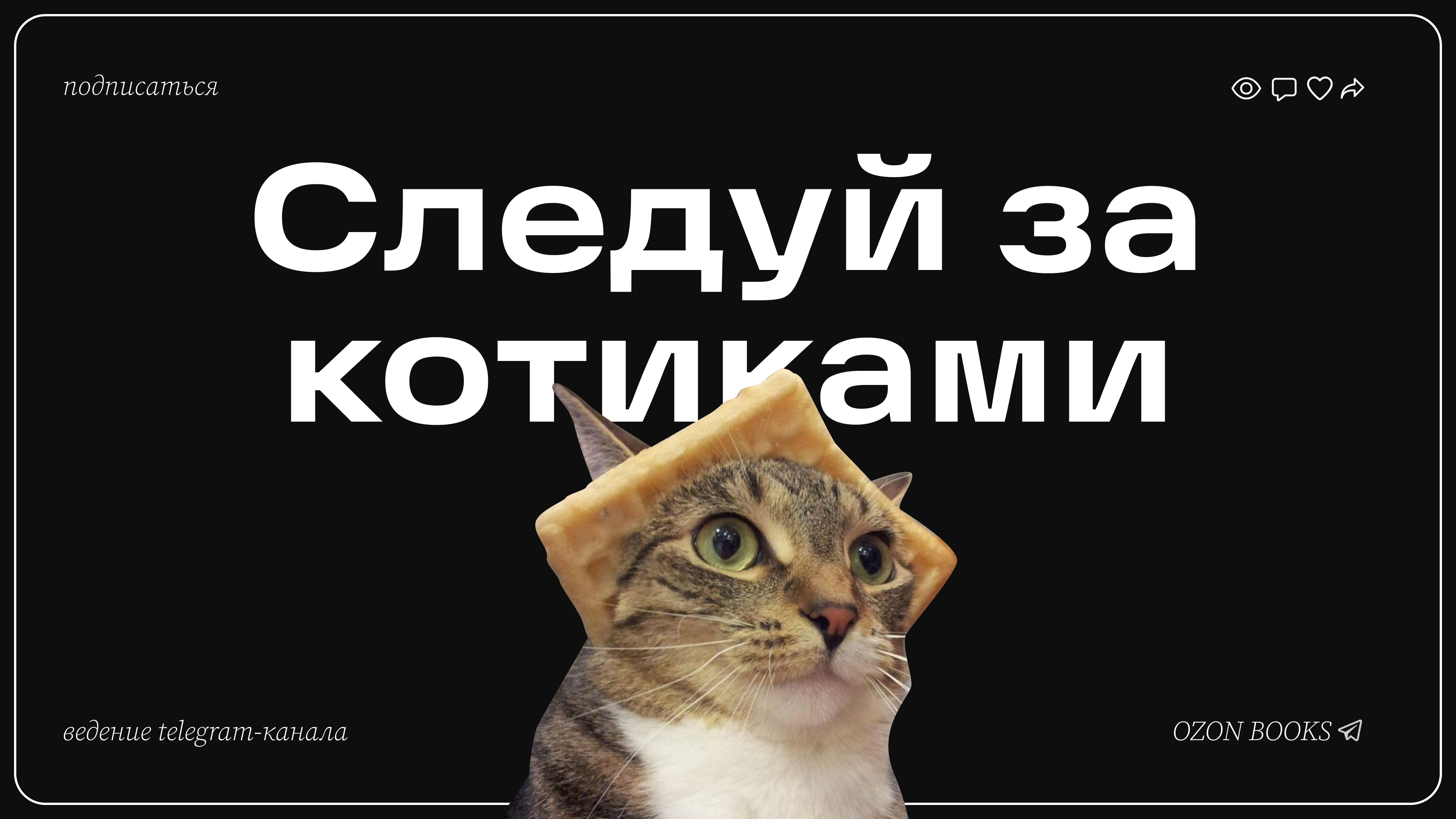 Telegram | Визуальное сопровождение — Изображение №1 — Графика, Маркетинг на Dprofile