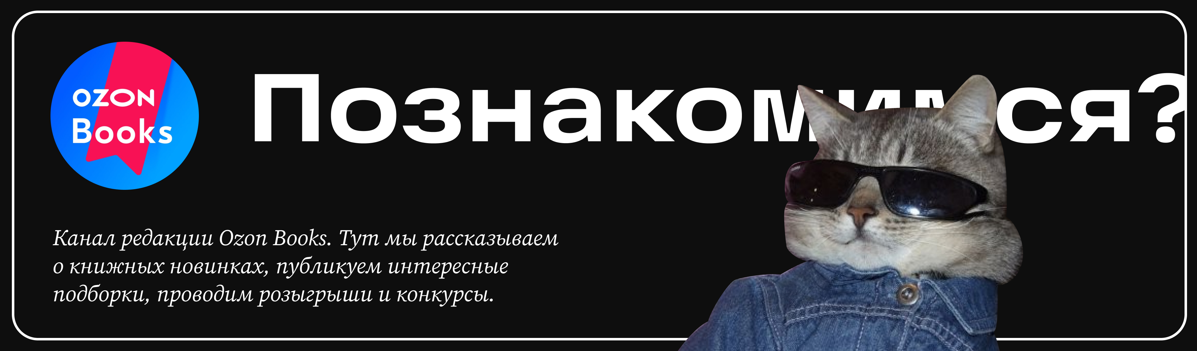 Telegram | Визуальное сопровождение — Изображение №3 — Графика, Маркетинг на Dprofile