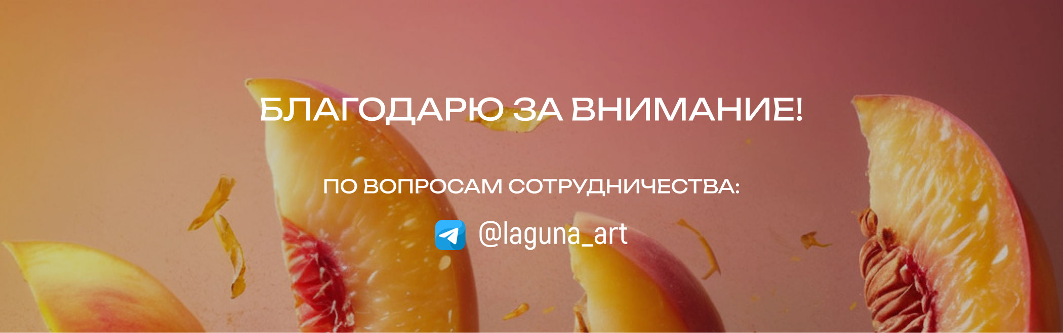 РЕдизайн карточек товаров | Инфографика | Wildberries — Изображение №8 — Иллюстрация, Графика на Dprofile
