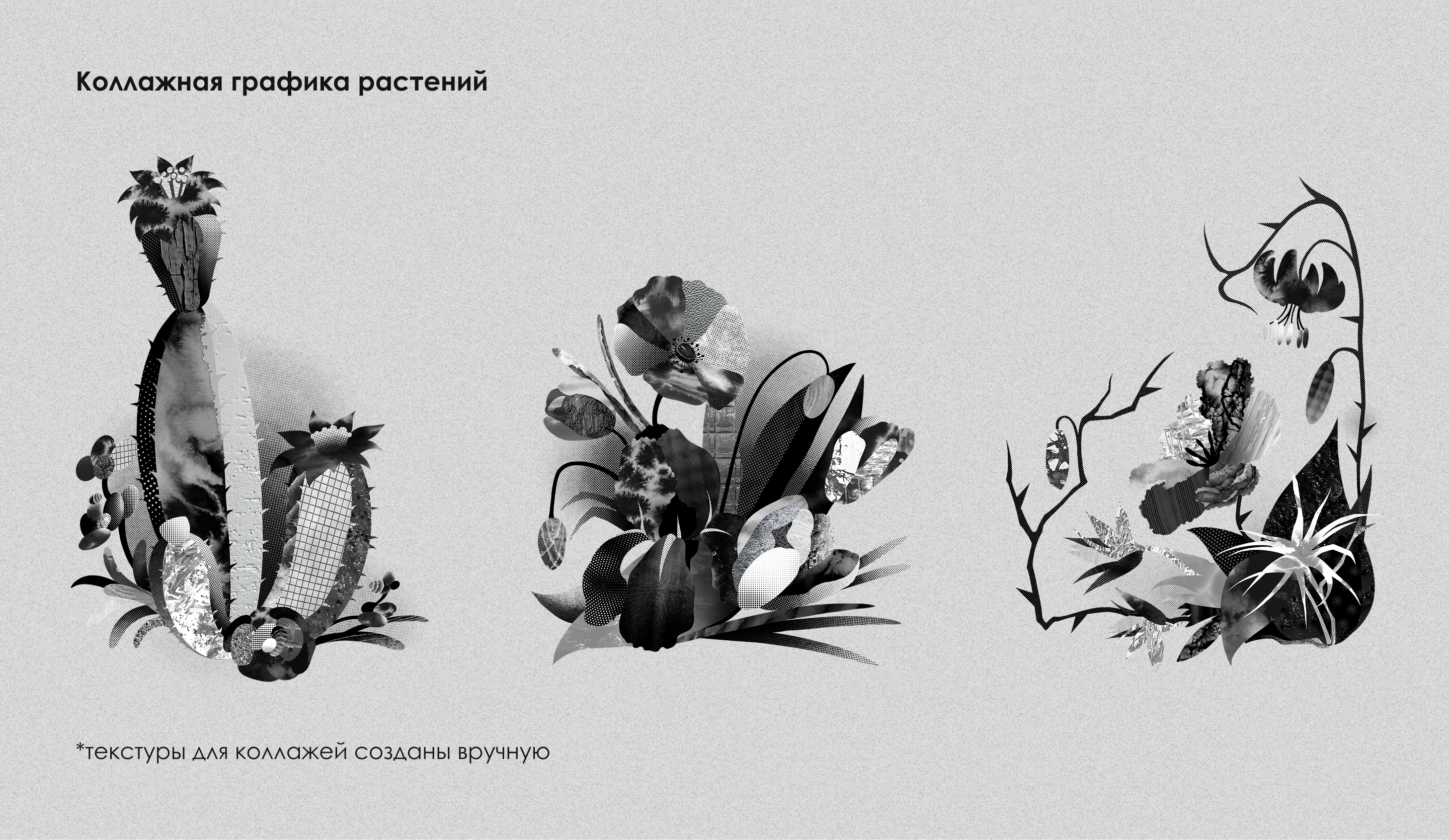 ПОРТФОЛИО | Графический дизайн | 2025 — Изображение №40 — Брендинг, Графика на Dprofile