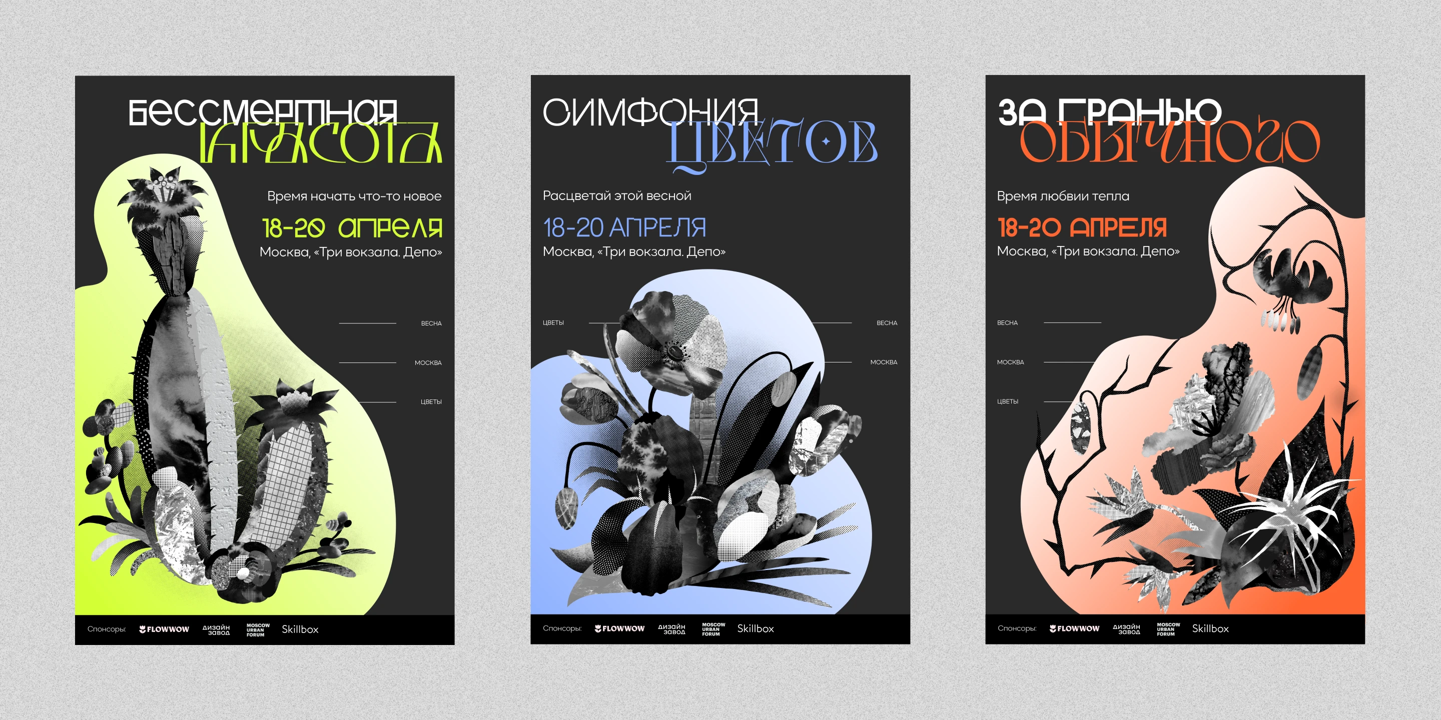 ПОРТФОЛИО | Графический дизайн | 2025 — Изображение №41 — Брендинг, Графика на Dprofile