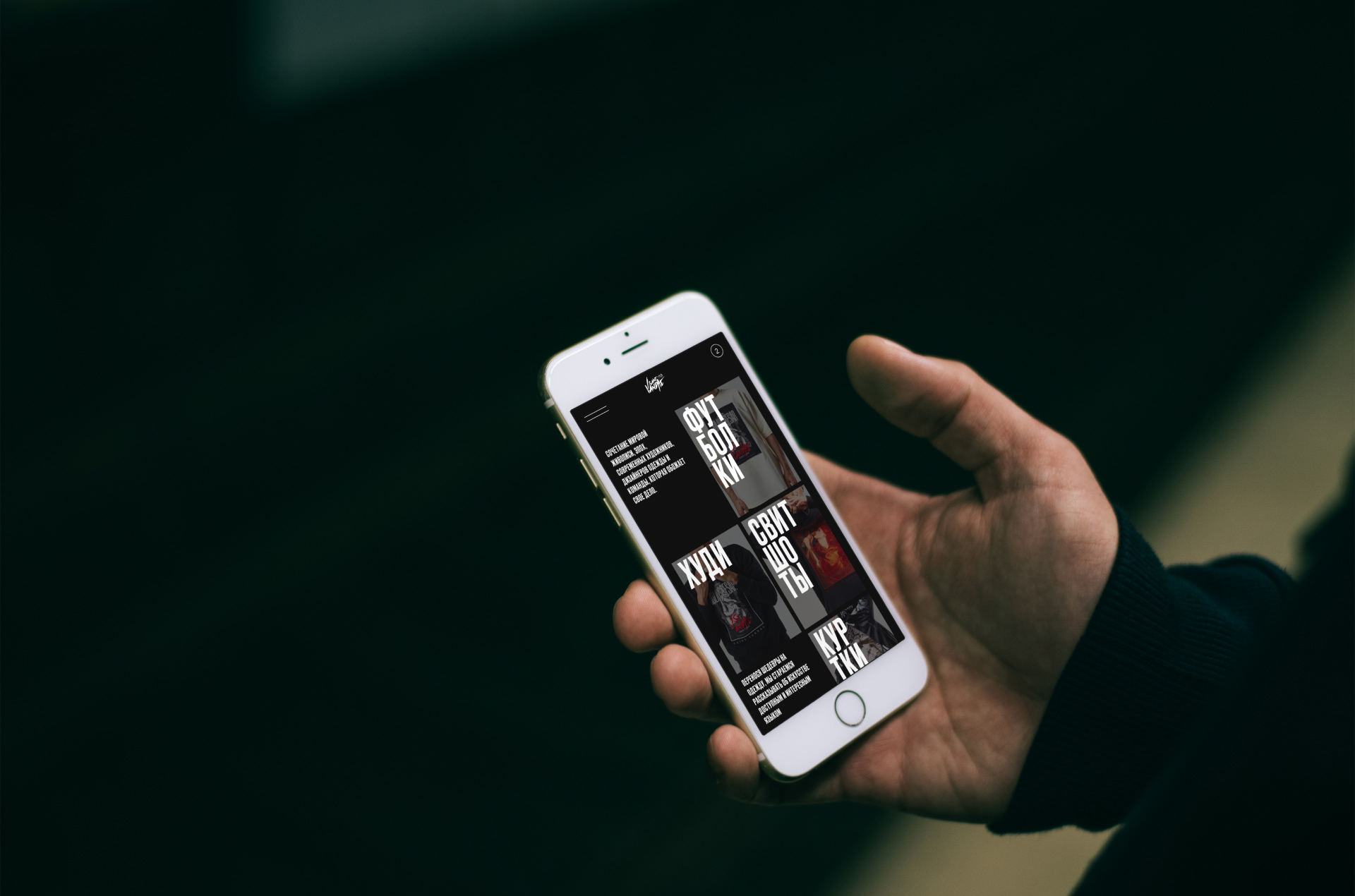 SAINT VANDAL — Изображение №6 — Интерфейсы, Брендинг на Dprofile